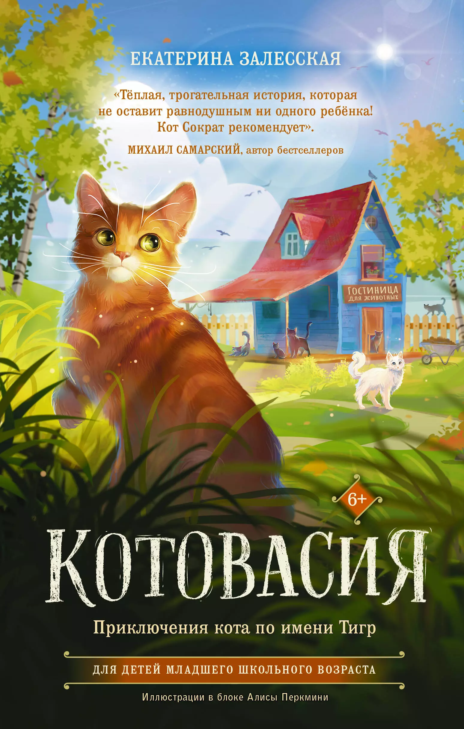 Залесская Екатерина Васильевна Котовасия. Приключения кота по имени Тигр зуева екатерина ивановна кот по имени вася приключения