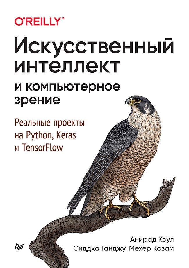 

Искусственный интеллект и компьютерное зрение. Реальные проекты на Python, Keras и TensorFlow