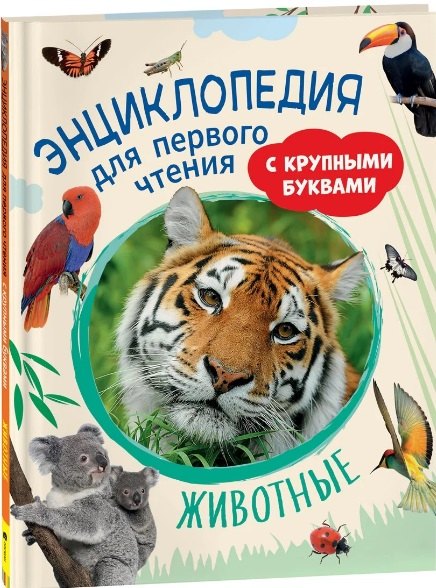 

Животные. Энциклопедия для первого чтения с крупными буквами