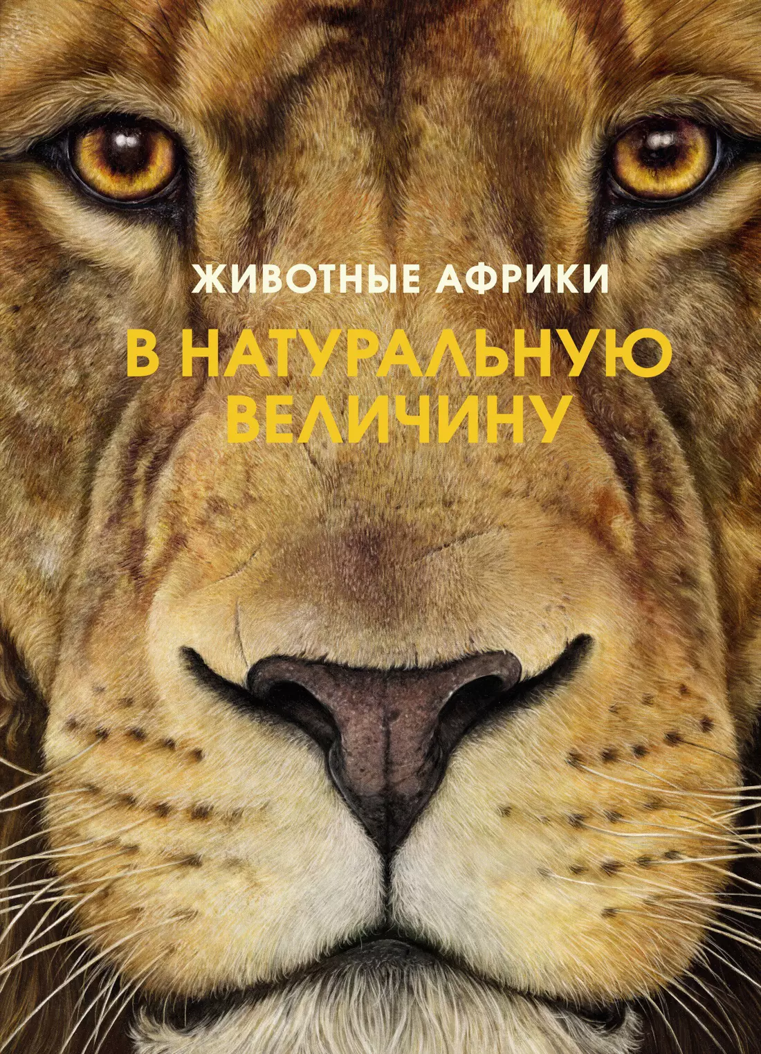 Животные Африки в натуральную величину хааг холгер животные африки в натуральную величину