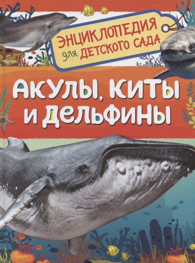Попова Лариса Александровна - Акулы, киты и дельфины. Энциклопедия для детского сада