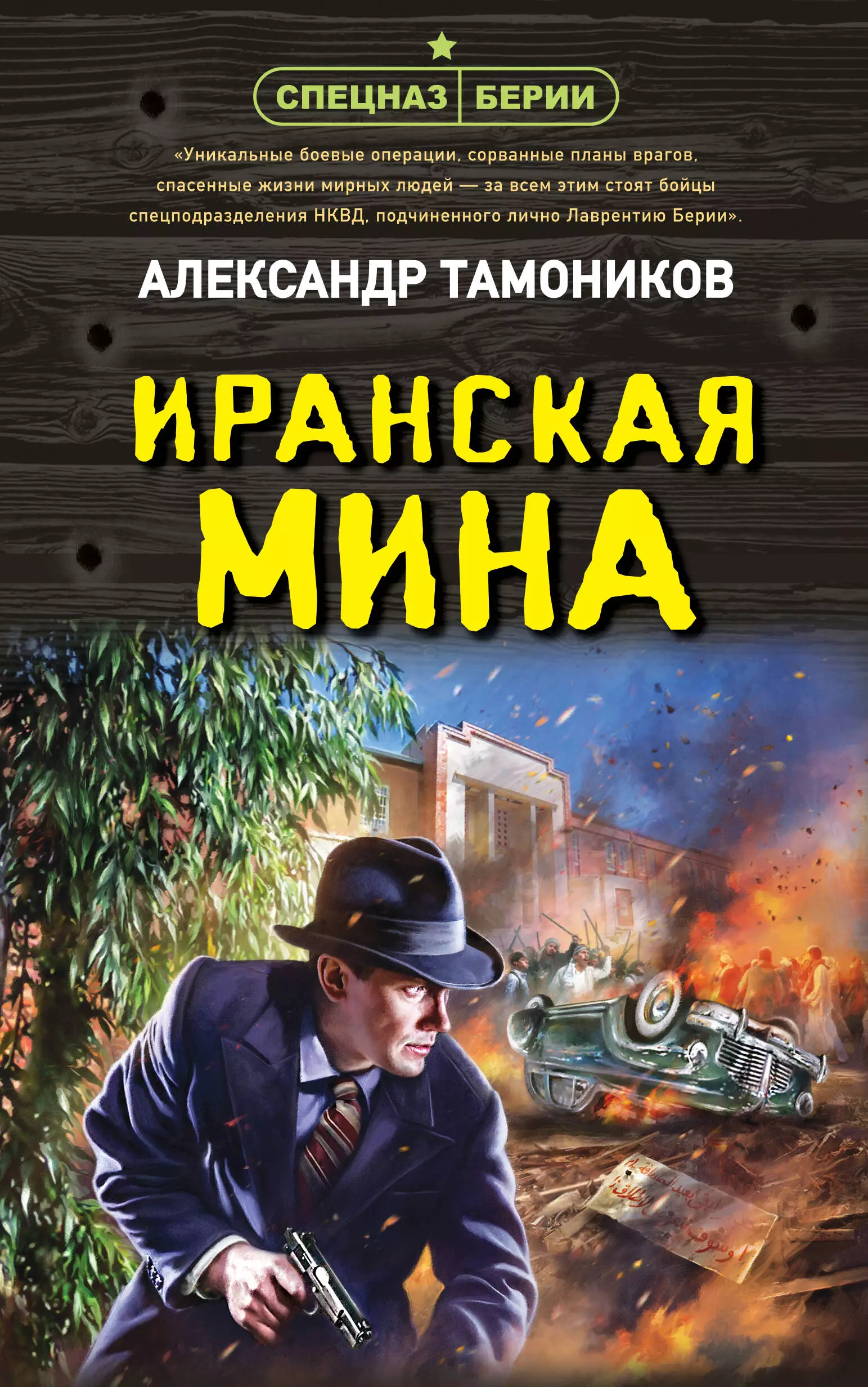 Тамоников Александр Александрович - Иранская мина