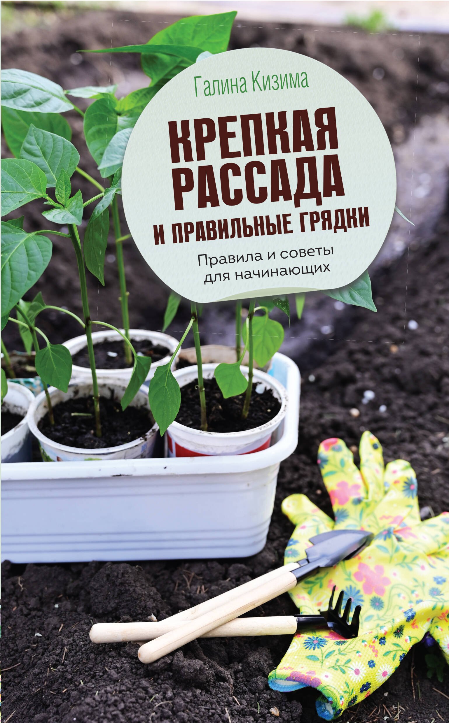 

Крепкая рассада и правильные грядки. Правила и советы для начинающих