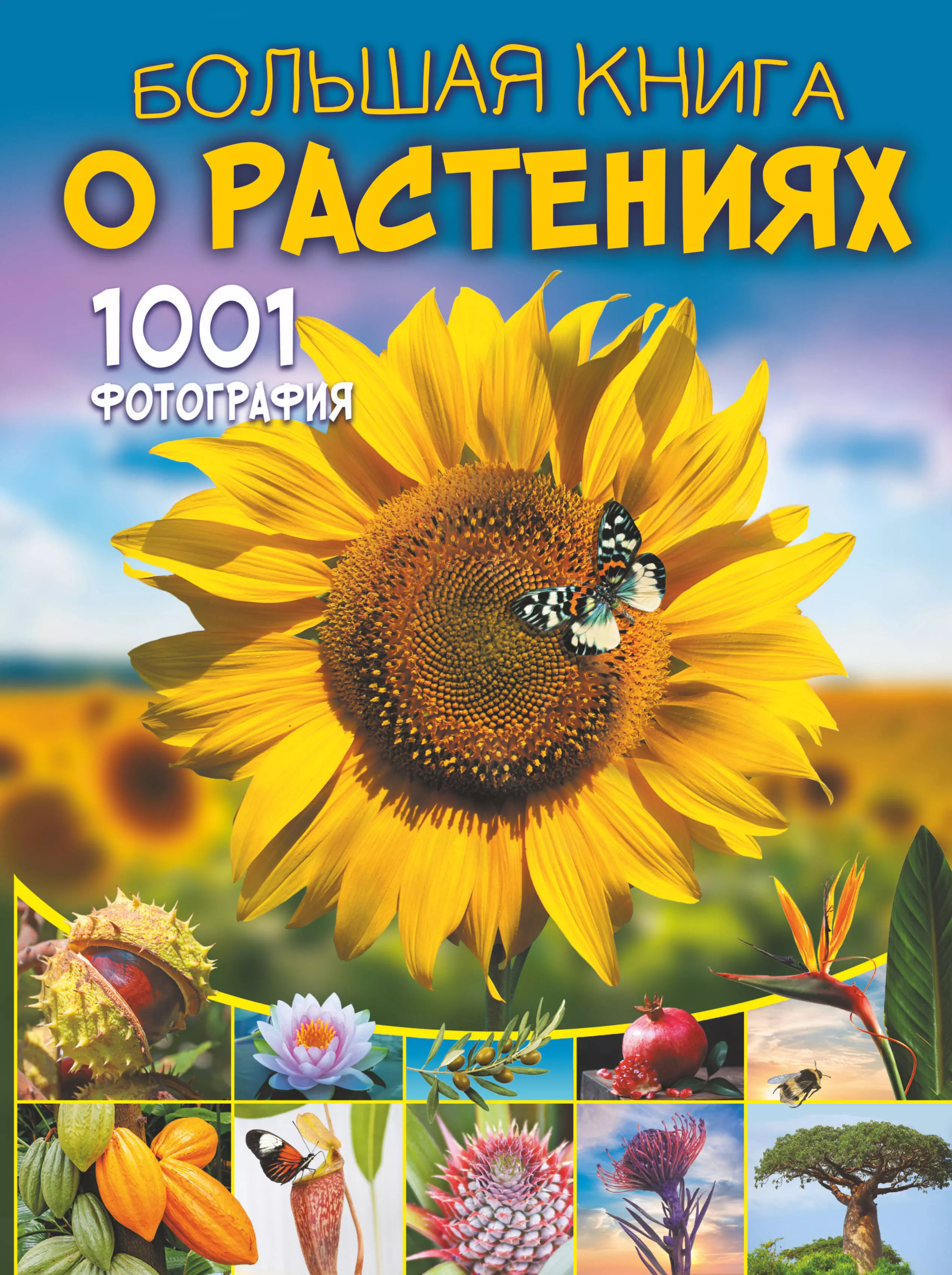 Большая книга о растениях. 1001 фотография 1001 фотография большая книга о растениях резько и в