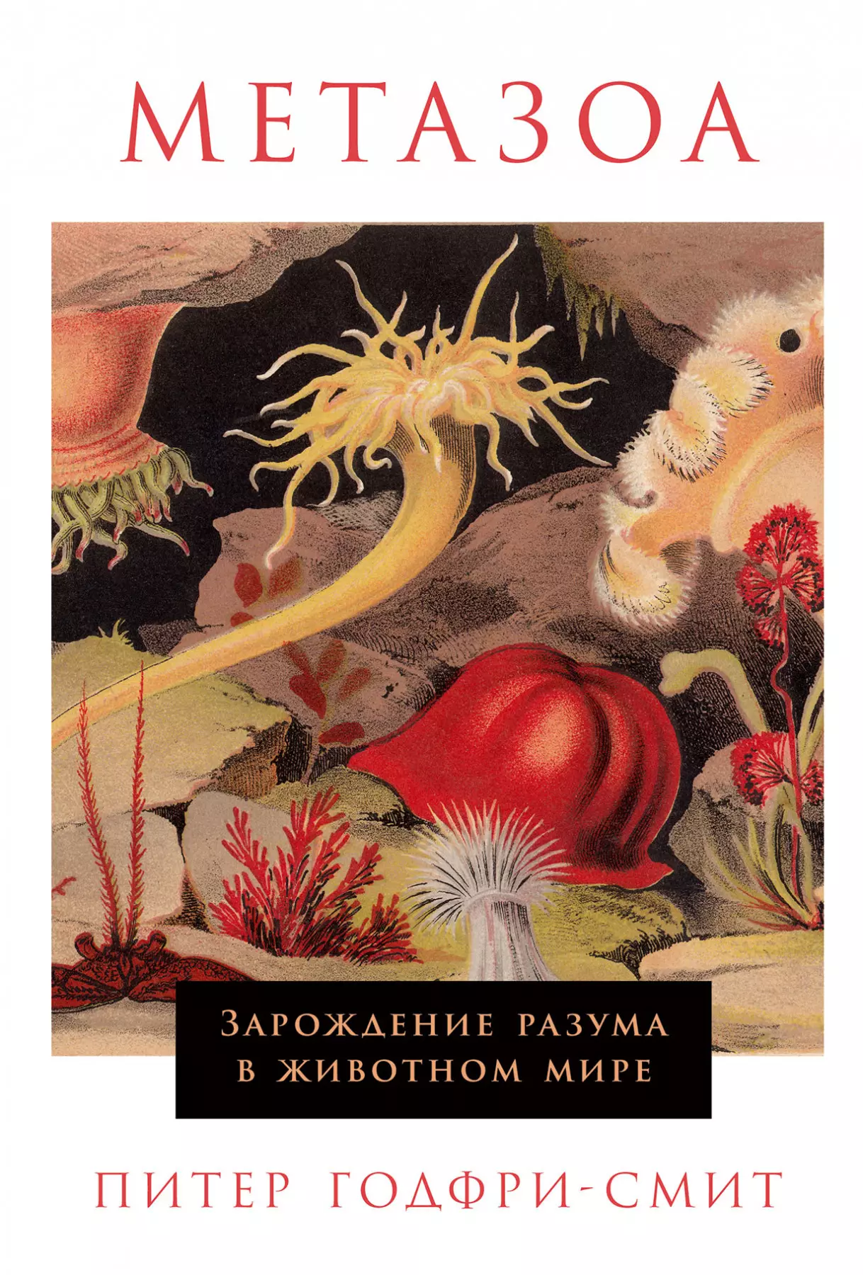 Метазоа: Зарождение разума в животном мире годфри смит питер чужой разум осьминоги море и глубинные истоки сознания
