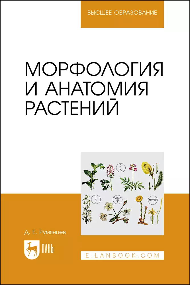 Румянцев Денис Евгеньевич - Морфология и анатомия растений. Учебное пособие