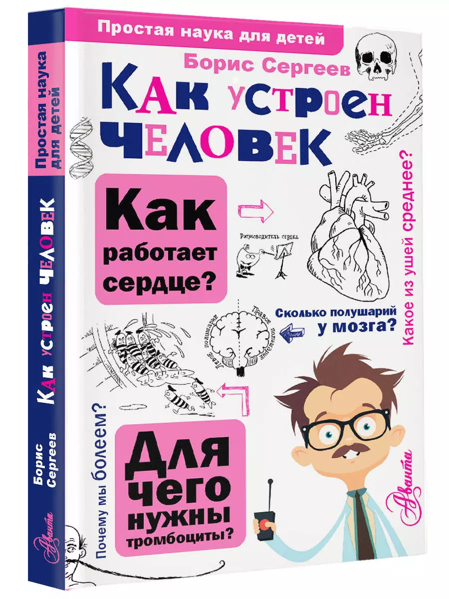 Как устроен человек (Сергеев Б.Ф.) - купить книгу или взять почитать в  «Букберри», Кипр, Пафос, Лимассол, Ларнака, Никосия. Магазин × Библиотека  Bookberry CY