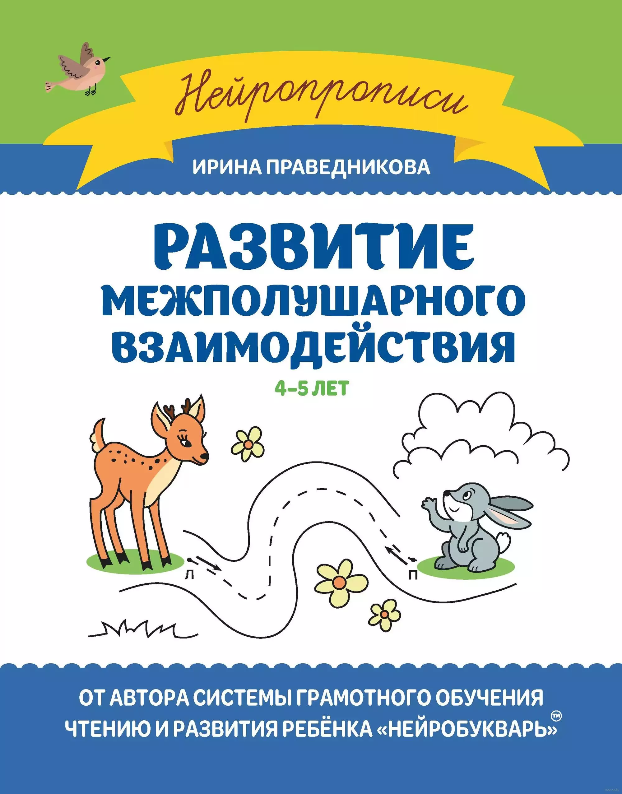 Праведникова Ирина Игоревна Развитие межполушарного взаимодействия. 4-5 лет