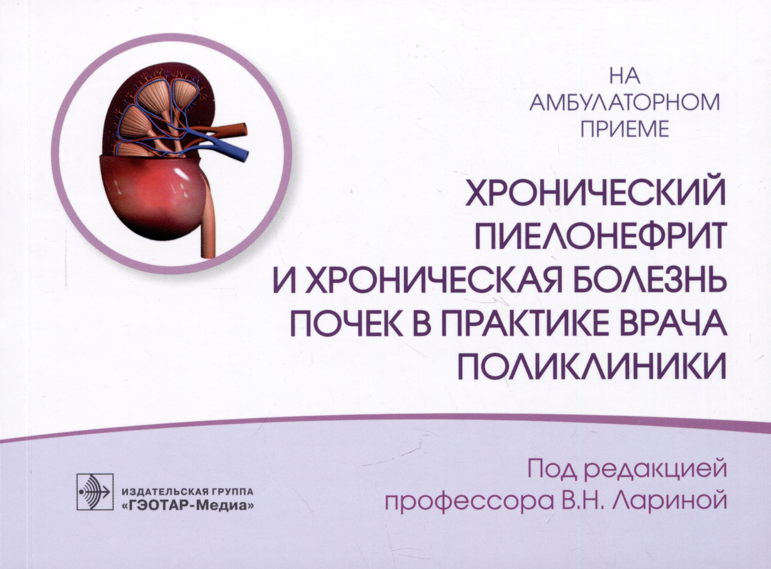 

Хронический пиелонефрит и хроническая болезнь почек в практике врача поликлиники