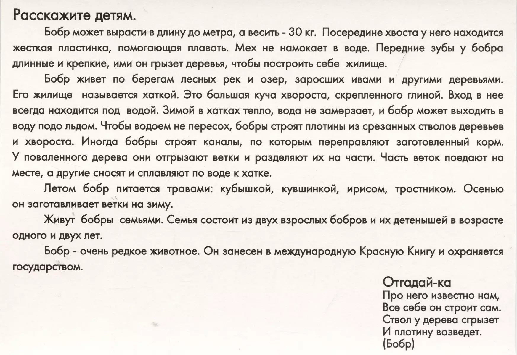 Животные наших лесов. Дидактические карточки для ознакомления с окружающим  миром - купить книгу с доставкой в интернет-магазине «Читай-город».