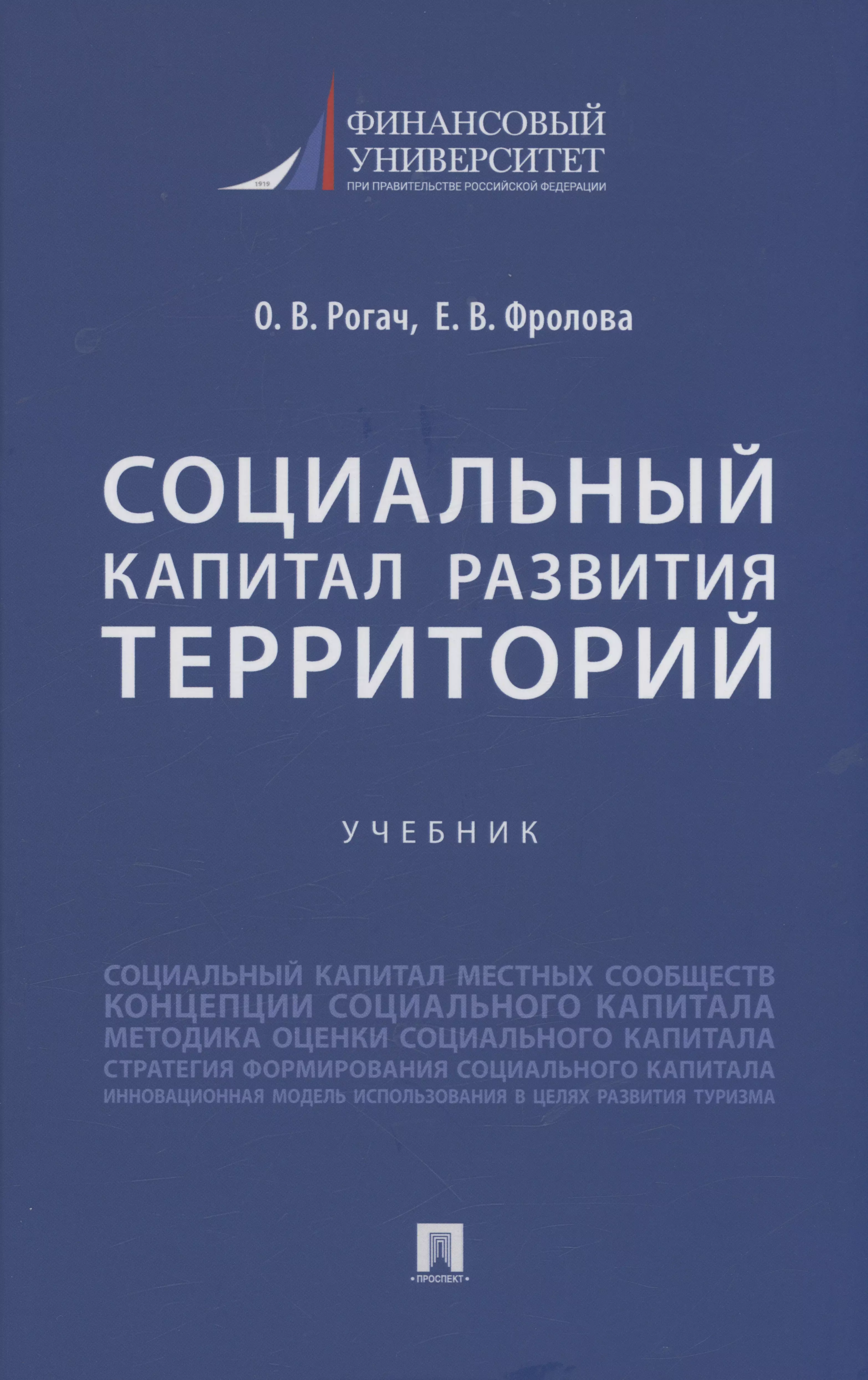 Рогач Ольга Владимировна, Фролова Елена Викторовна - Социальный капитал развития территорий. Учебник