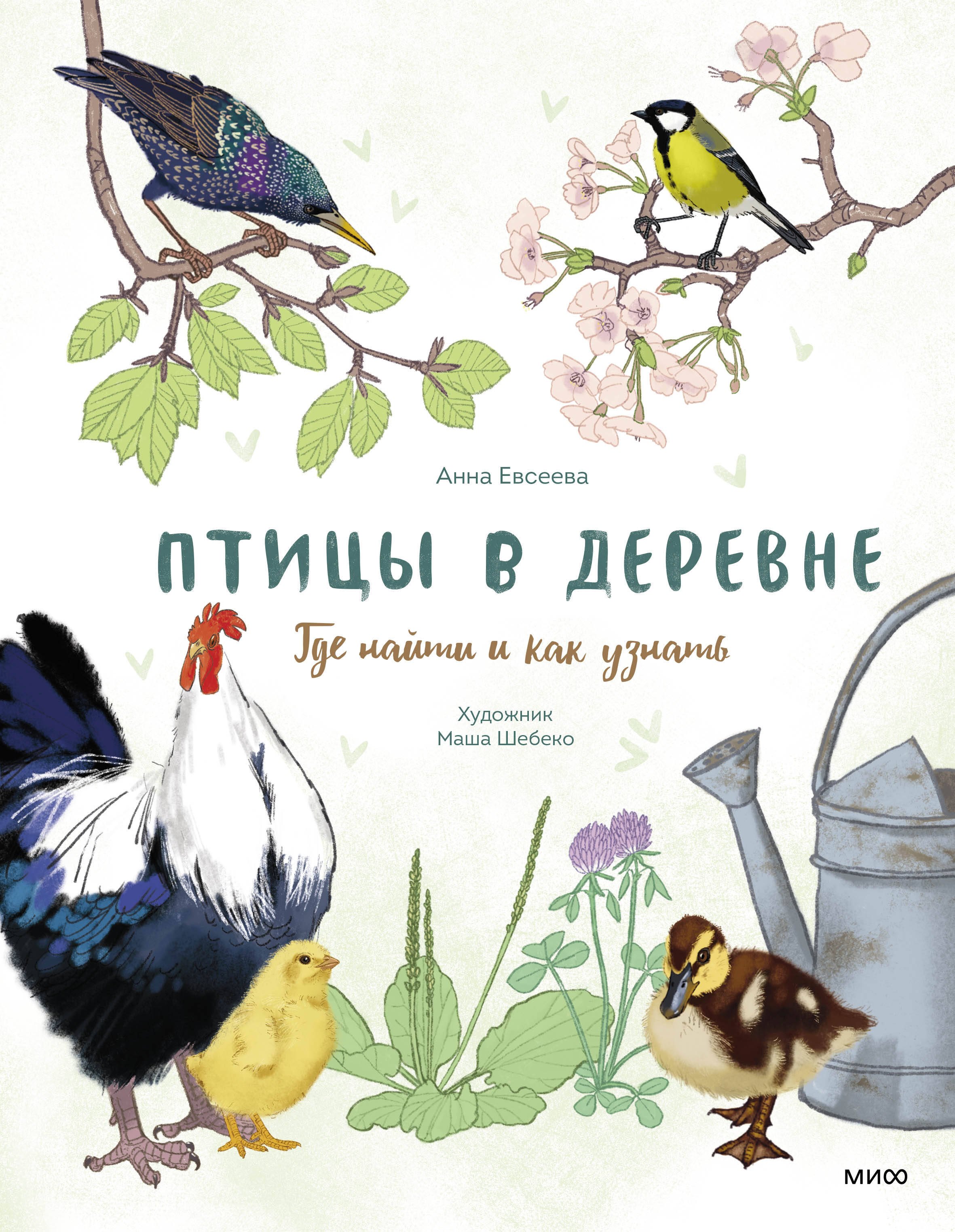 

Птицы в деревне. Где найти и как узнать