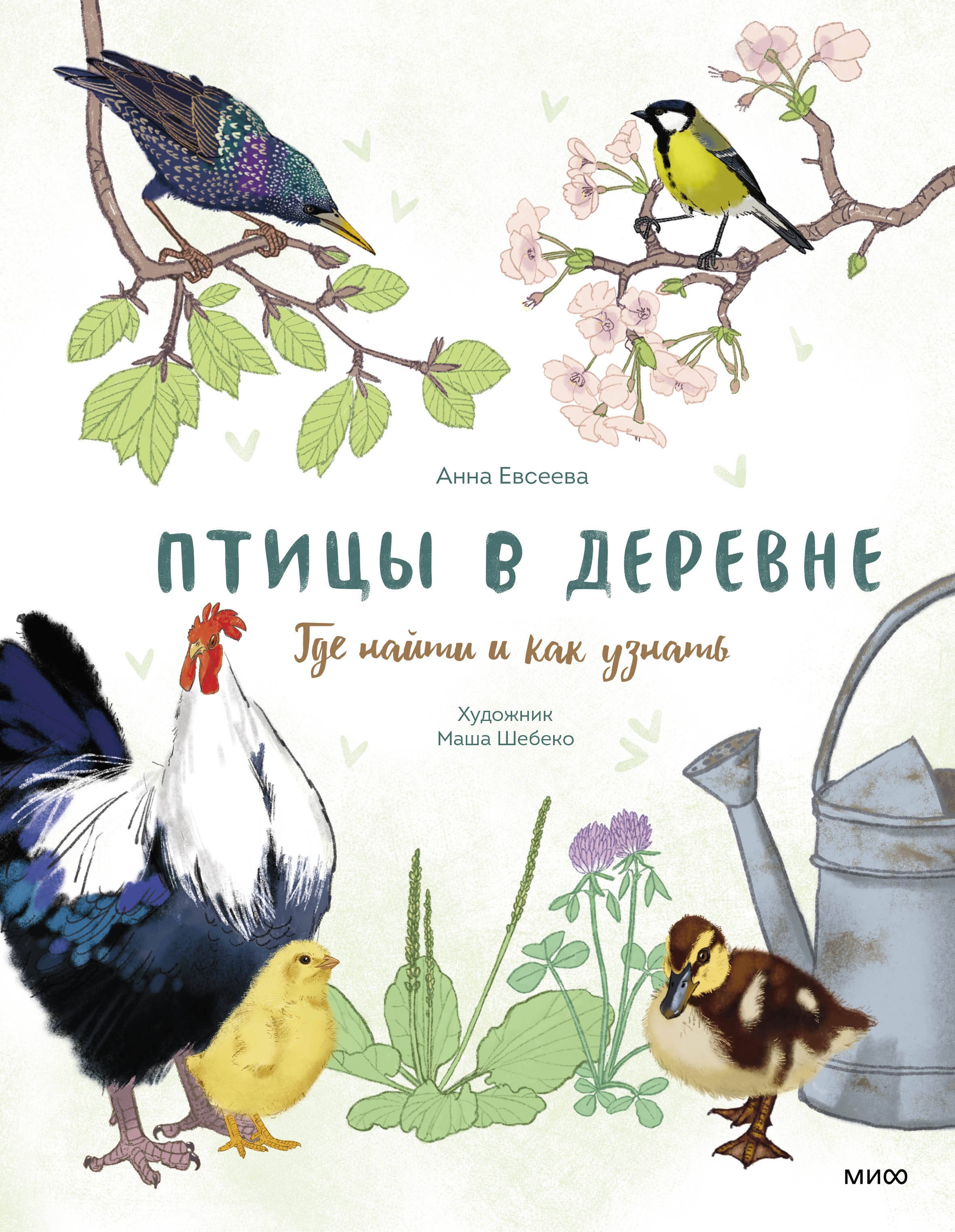 Евсеева Анна Птицы в деревне. Где найти и как узнать птицы в городе где найти и как узнать васильева а