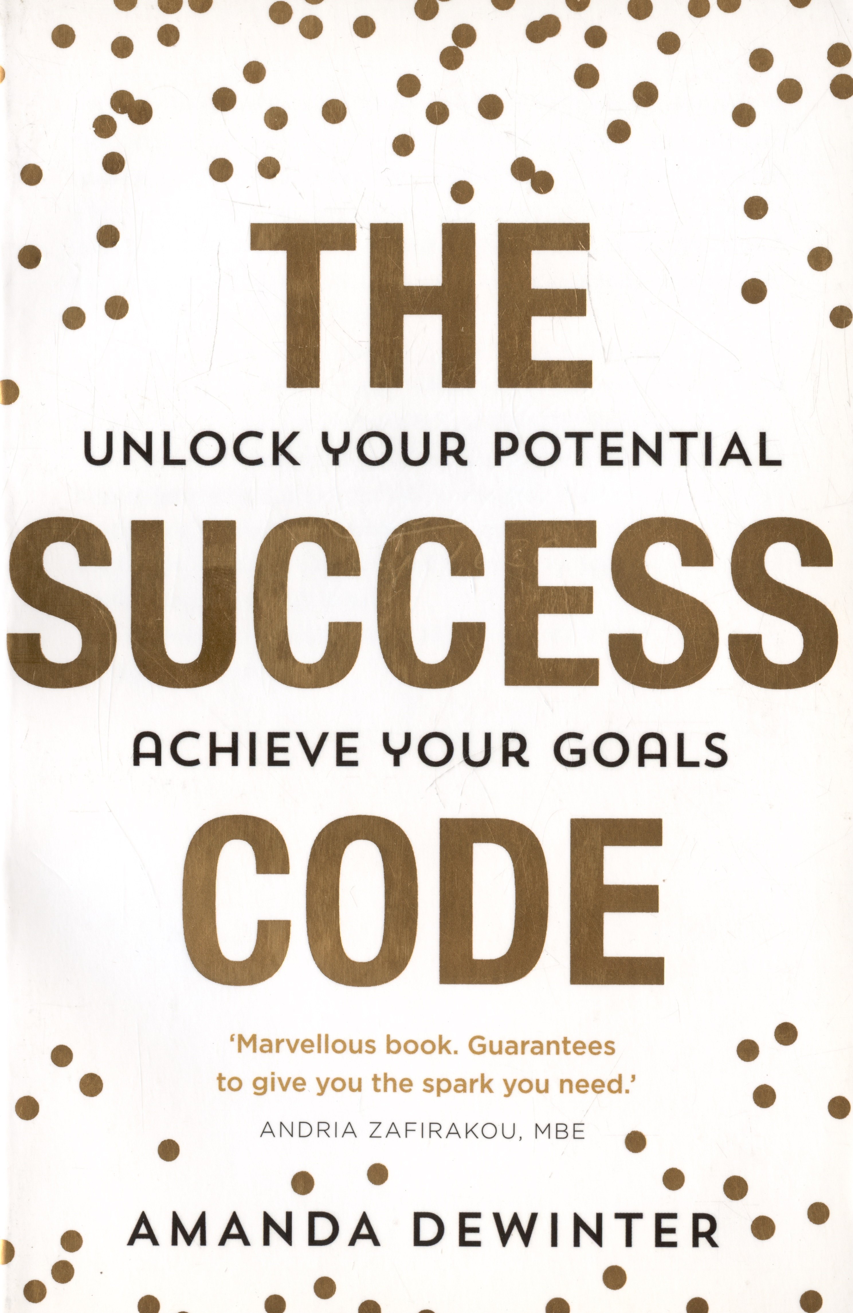 

The Success Code