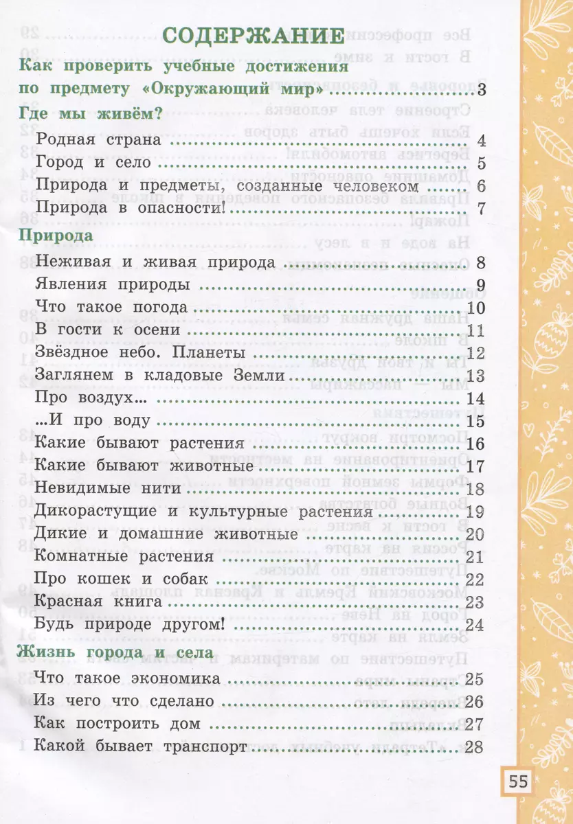 Окружающий мир. 2 класс. Тетрадь учебных достижений. К учебнику А.А.  Плешакова 