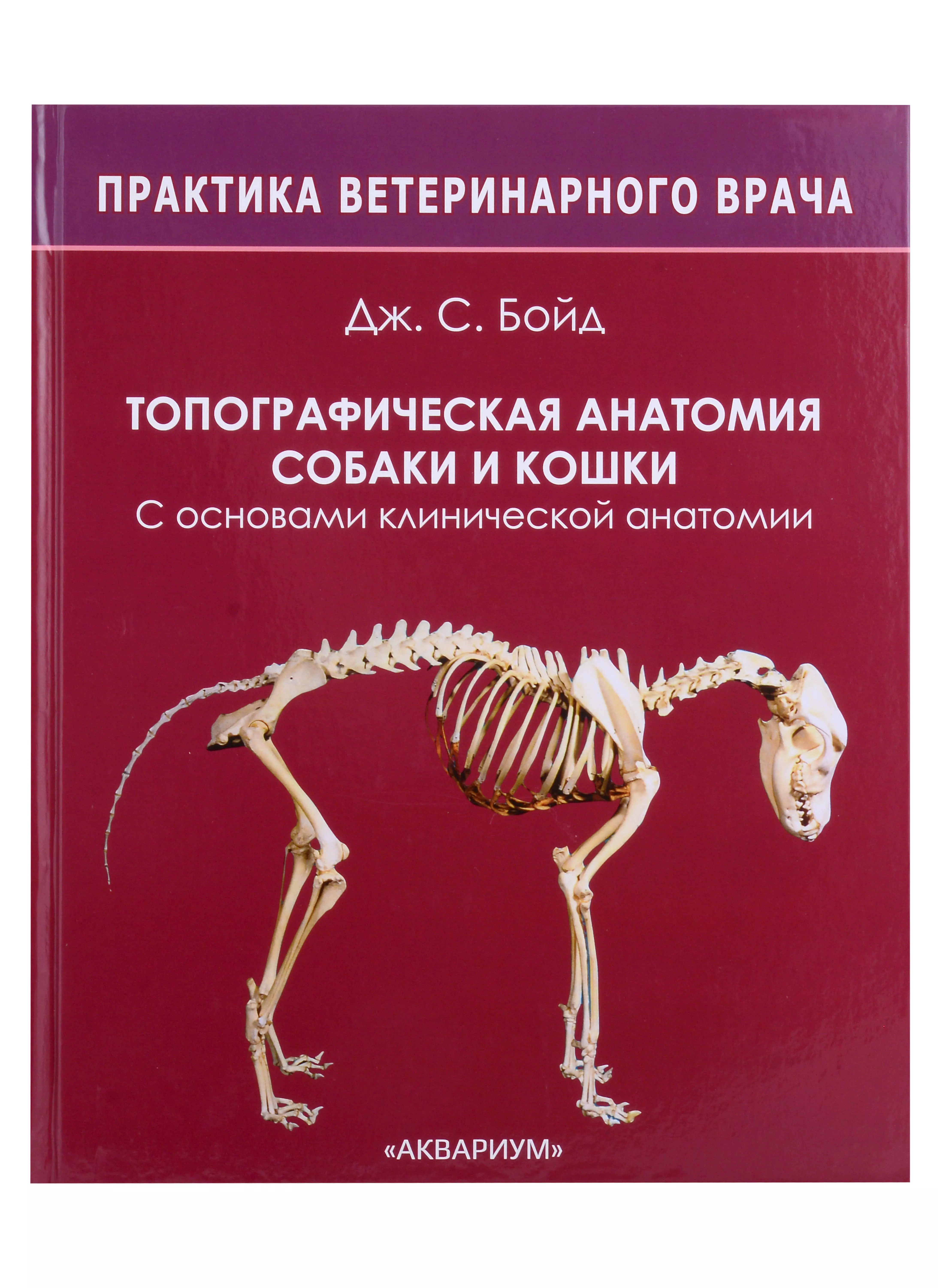 Бойд Дж.С. - Топографическая анатомия собаки и кошки. С основами клинической анатомии