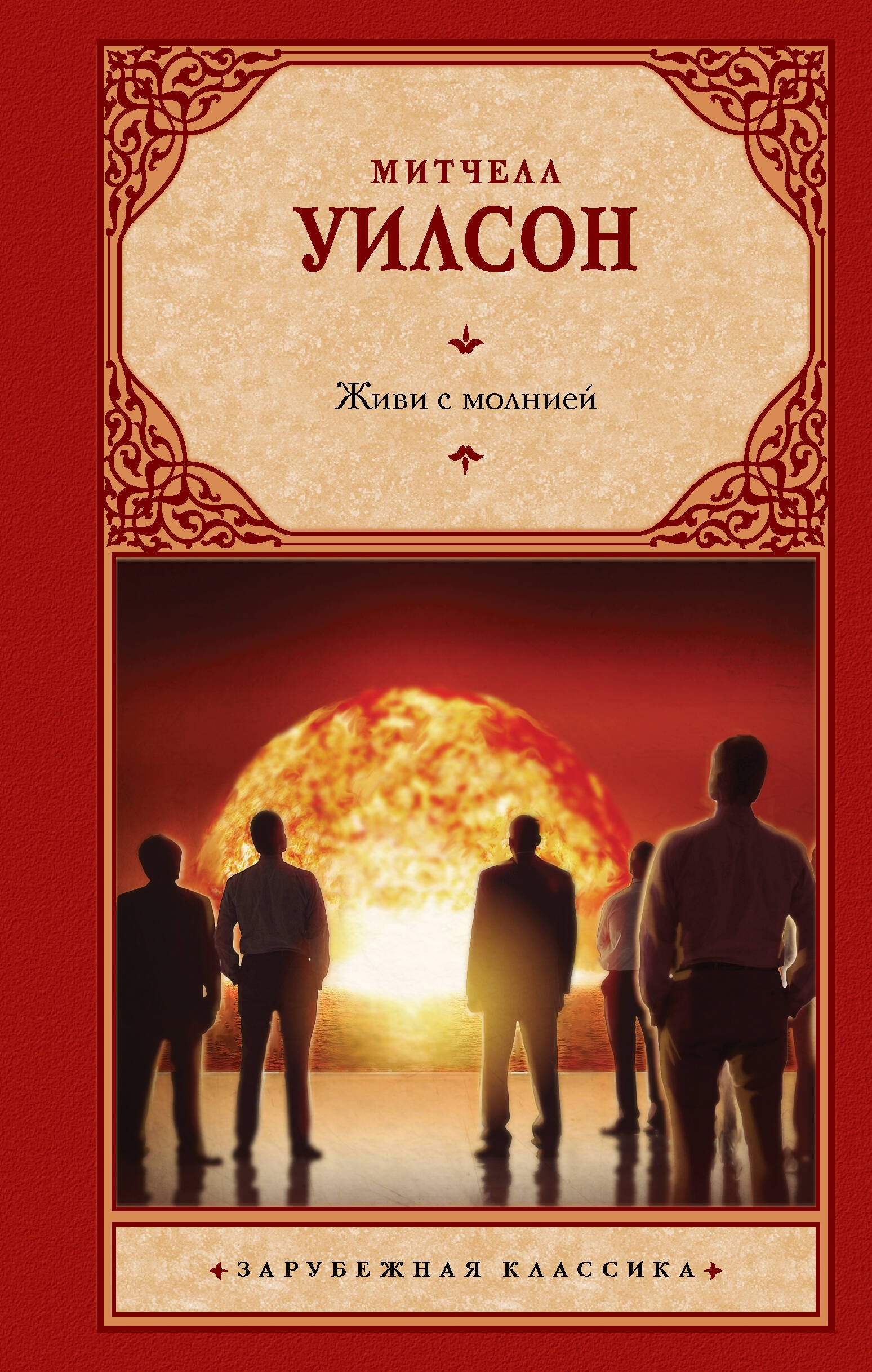

Живи с молнией: роман