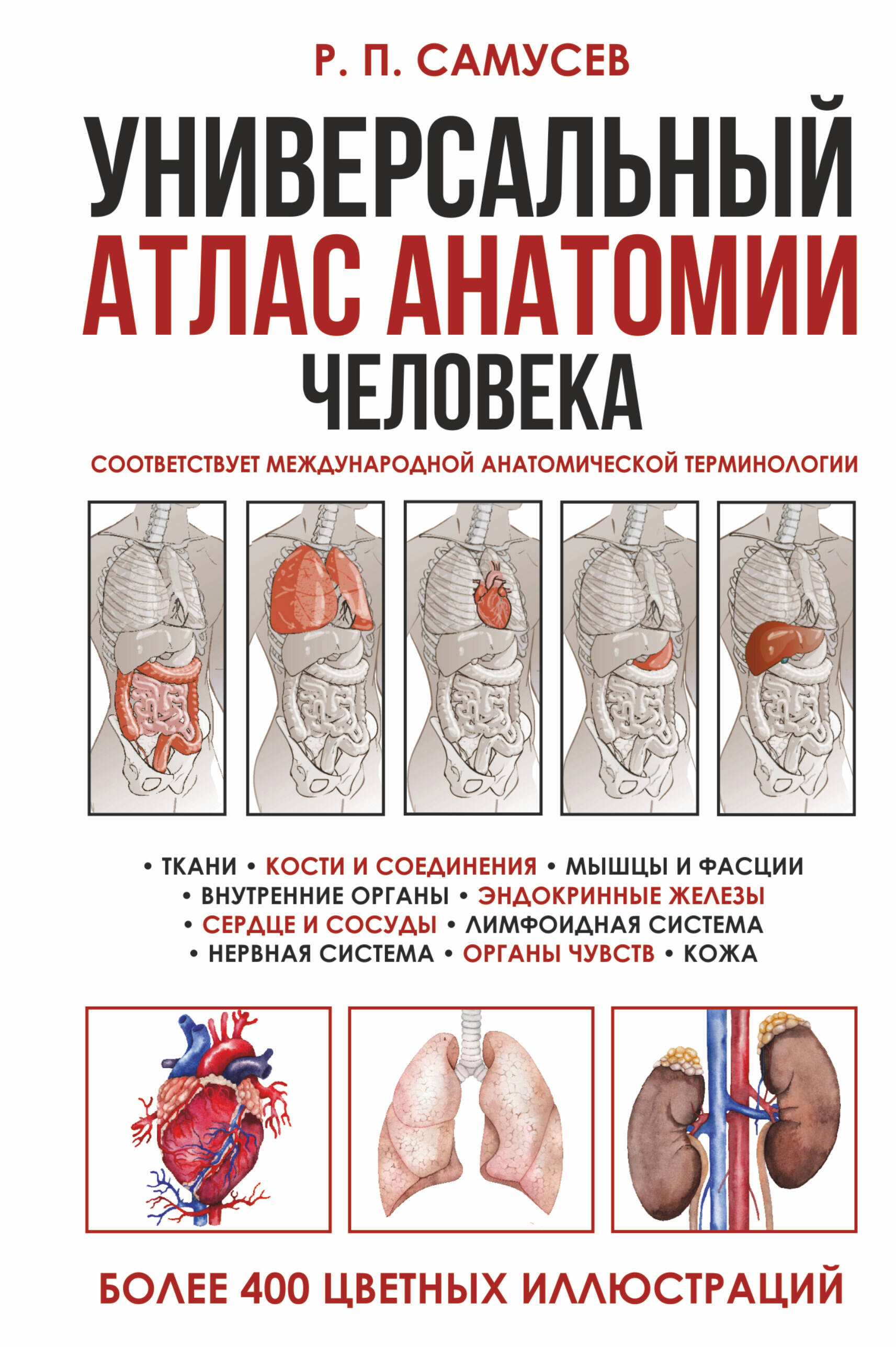 Универсальный атлас анатомии человека. Учебное пособие для студентов медицинских учебных заведений