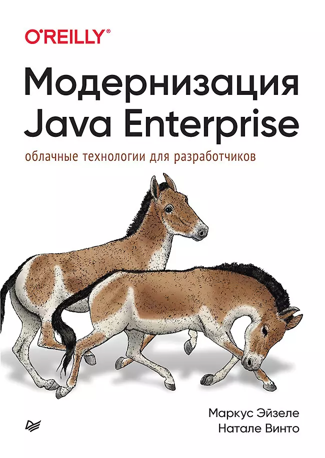 Эйзеле Маркус, Винто Натале Модернизация Java Enterprise: облачные технологии для разработчиков