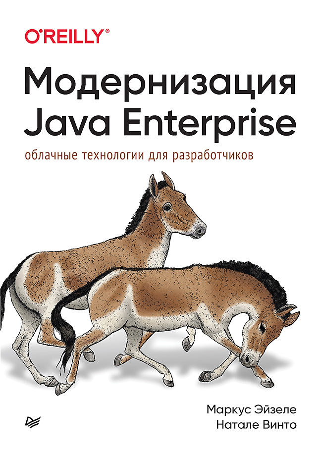 винто натале Эйзеле Маркус, Винто Натале Модернизация Java Enterprise: облачные технологии для разработчиков