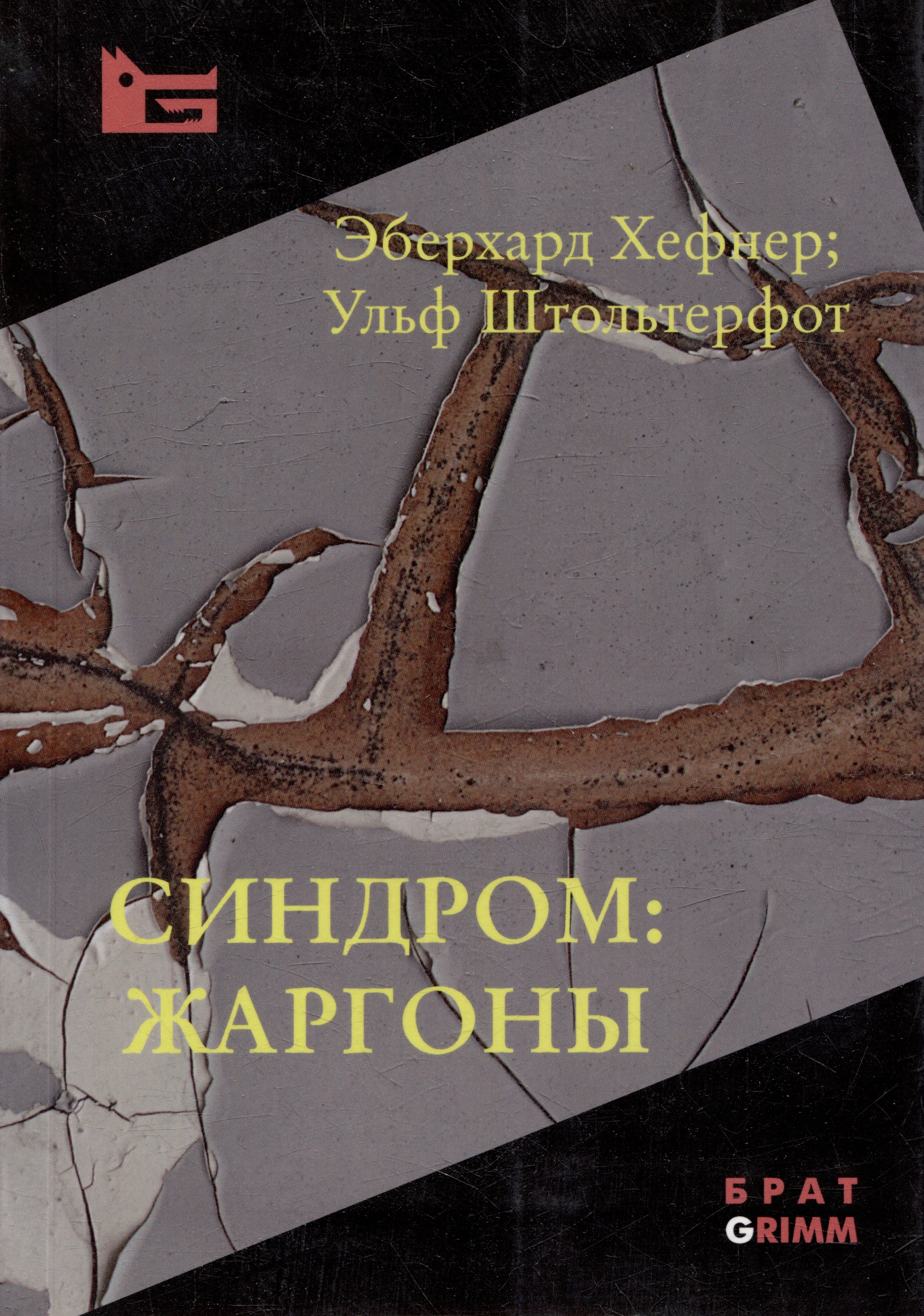 

Синдром: жаргоны