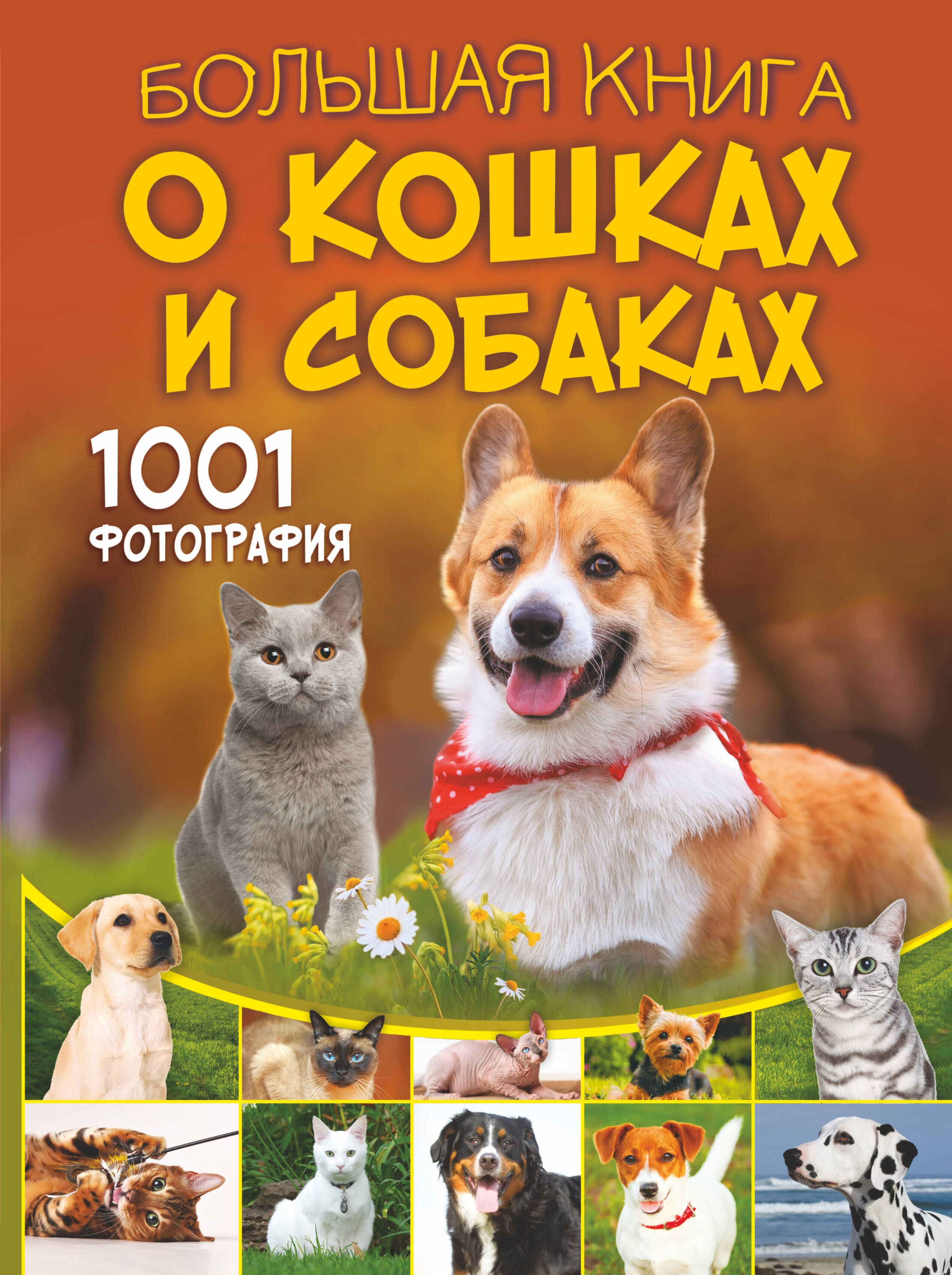Большая книга о кошках и собаках. 1001 фотография большая энциклопедия о кошках и собаках