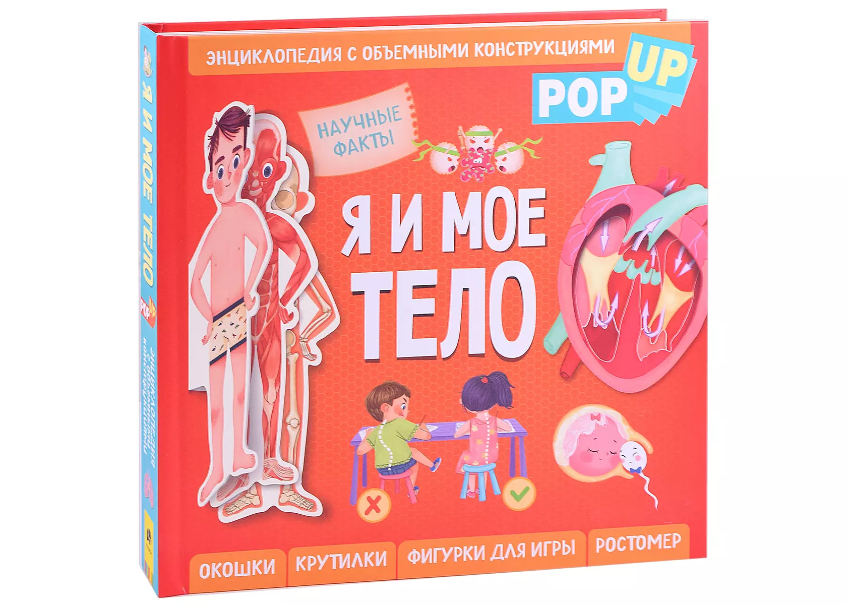 Я и мое тело. POP-UP. Энциклопедия с объемными конструкциями - купить книгу  с доставкой в интернет-магазине «Читай-город». ISBN: 978-5-35-310430-8