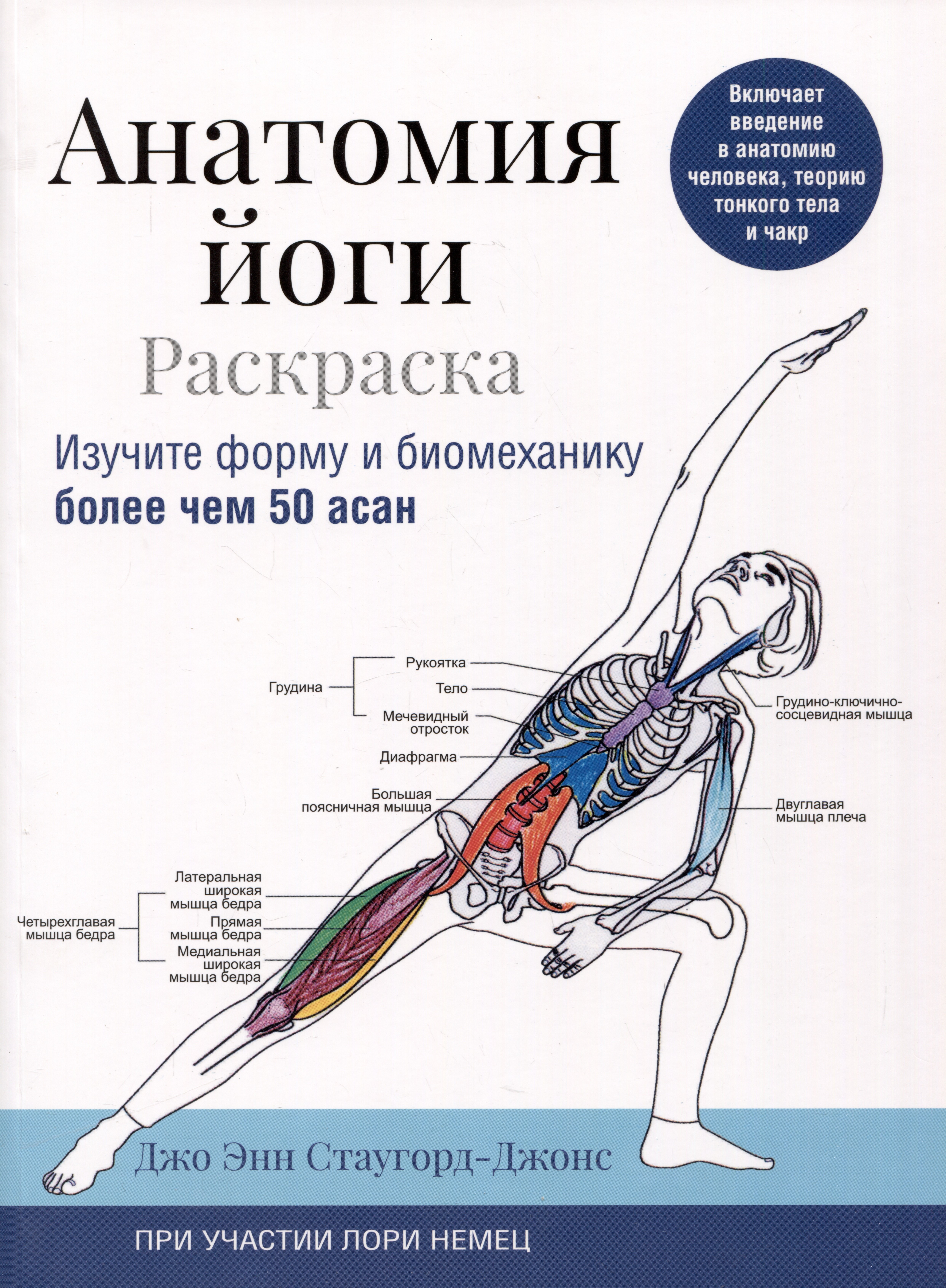 Стаугорд-Джонс Джо Энн - Анатомия йоги: раскраска. Изучите форму и биомеханику более чем 50 асан