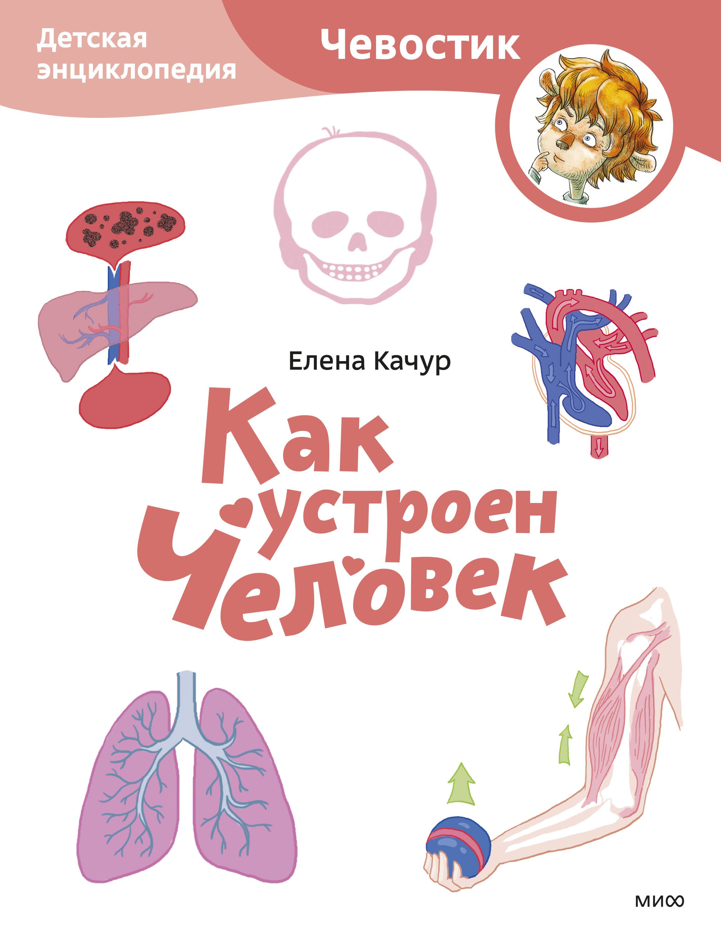 Качур Елена Как устроен человек. Детская энциклопедия