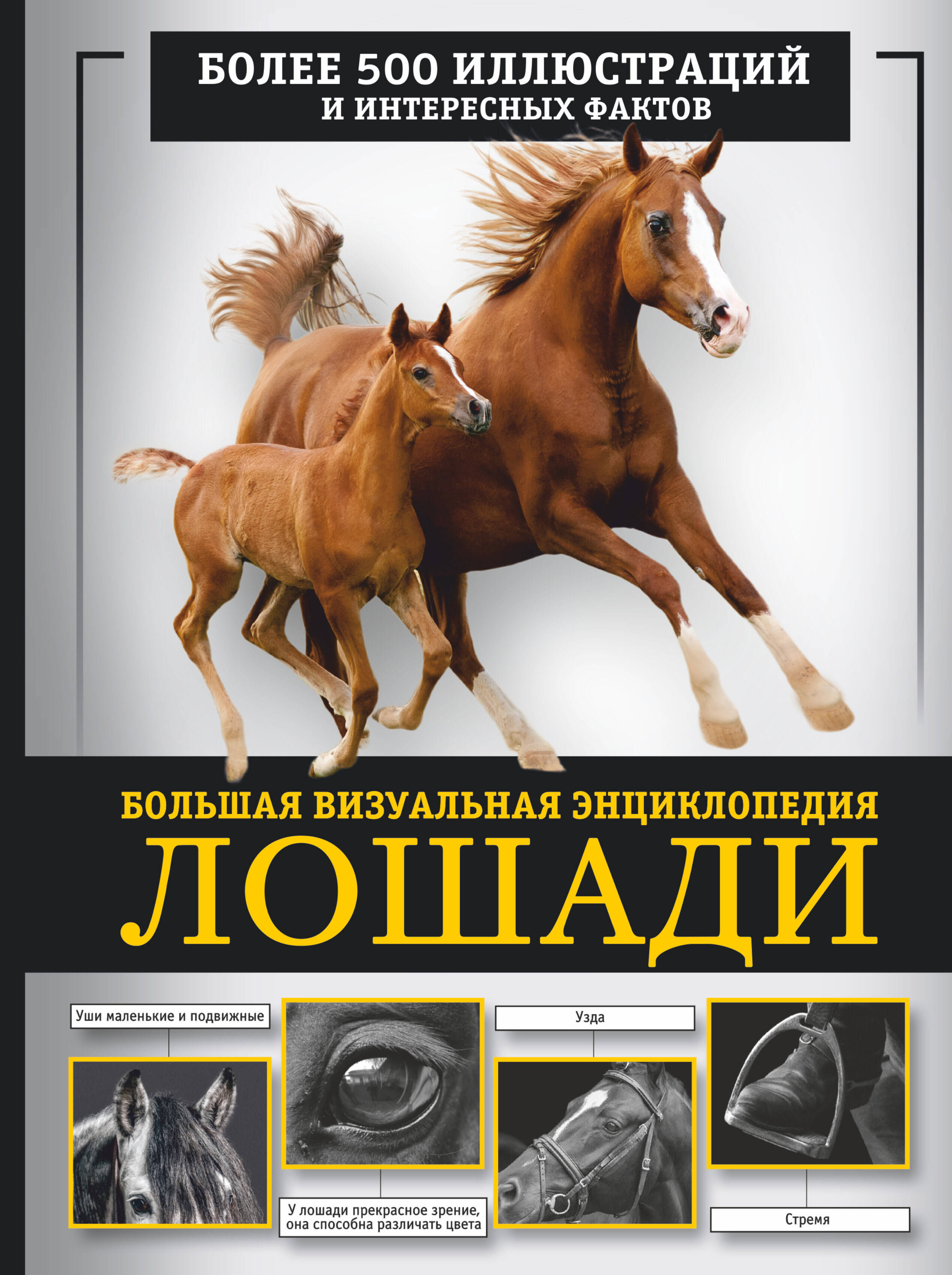 Лошади. Большая визуальная энциклопедия животные визуальная энциклопедия тони хеа