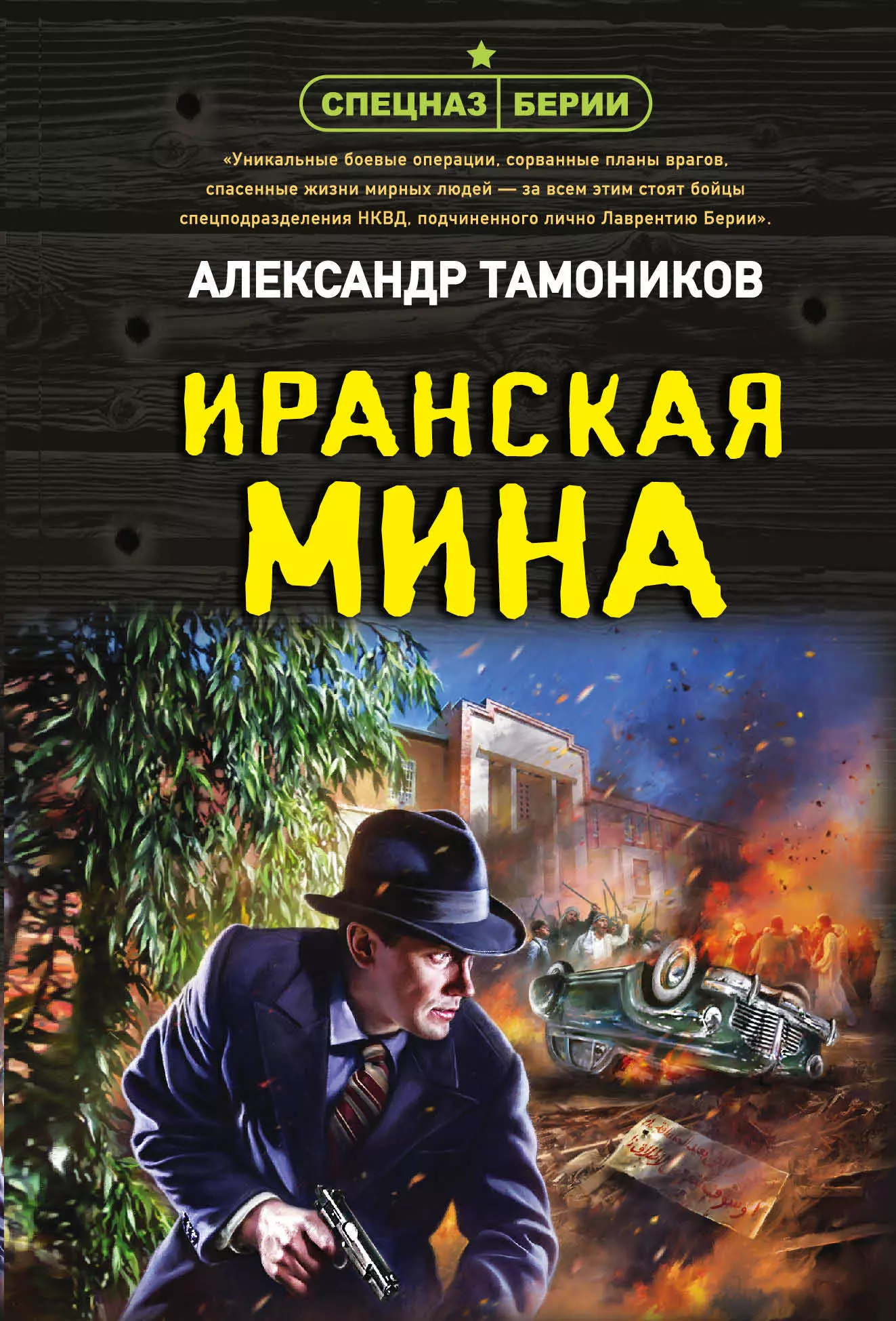 Тамоников Александр Александрович Иранская мина