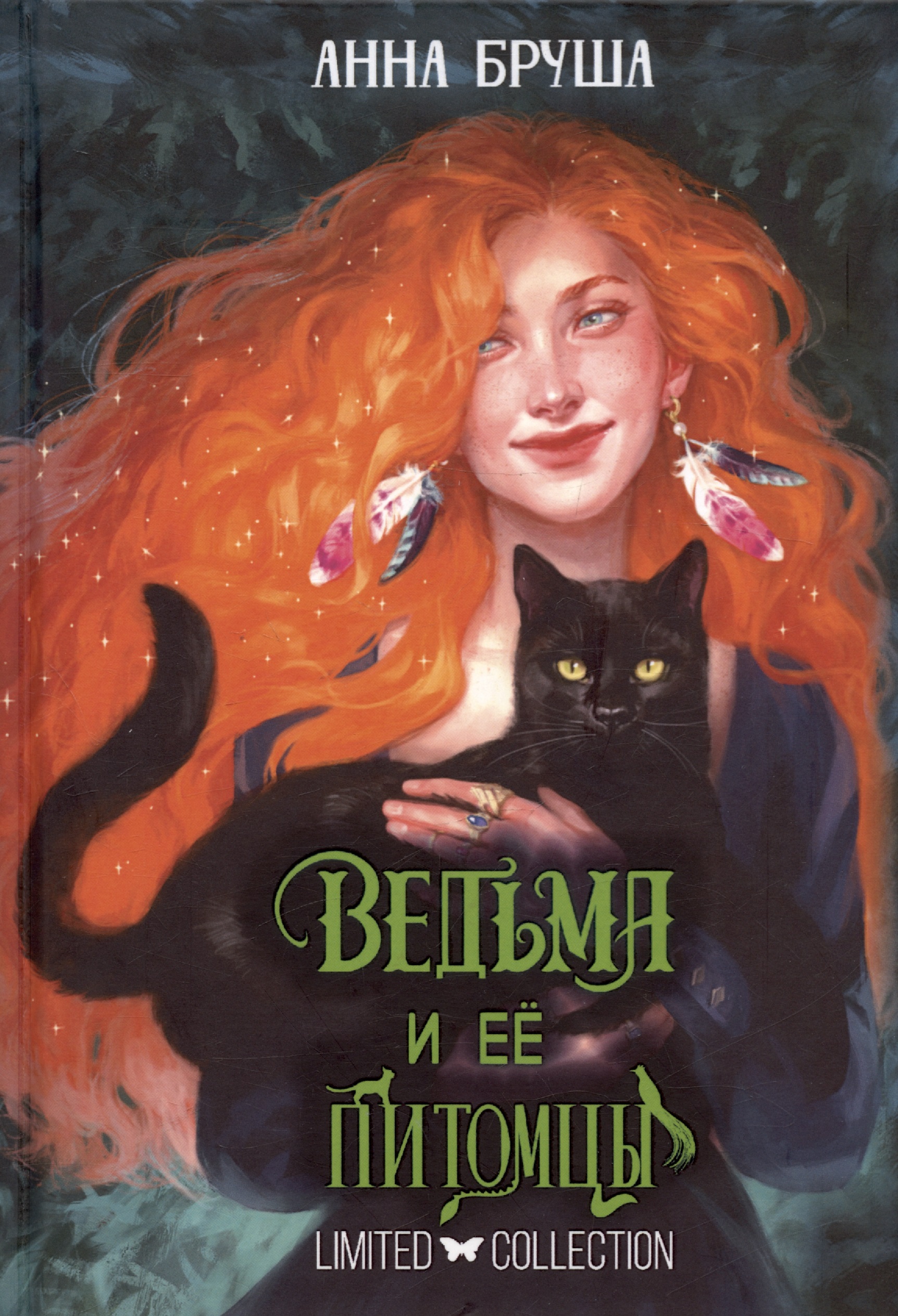Бруша Анна Ведьма и ее питомцы кантини барбара ведьма брунгильда и ее кот первый полет