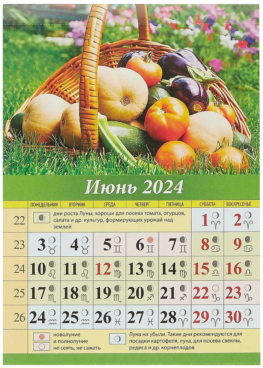 Календарь луны 2024. Благоприятнведриддя посадки томатов. Фазы луны на 2024 год. Календарь лунных фаз 2024. Лунный календарь 2024.