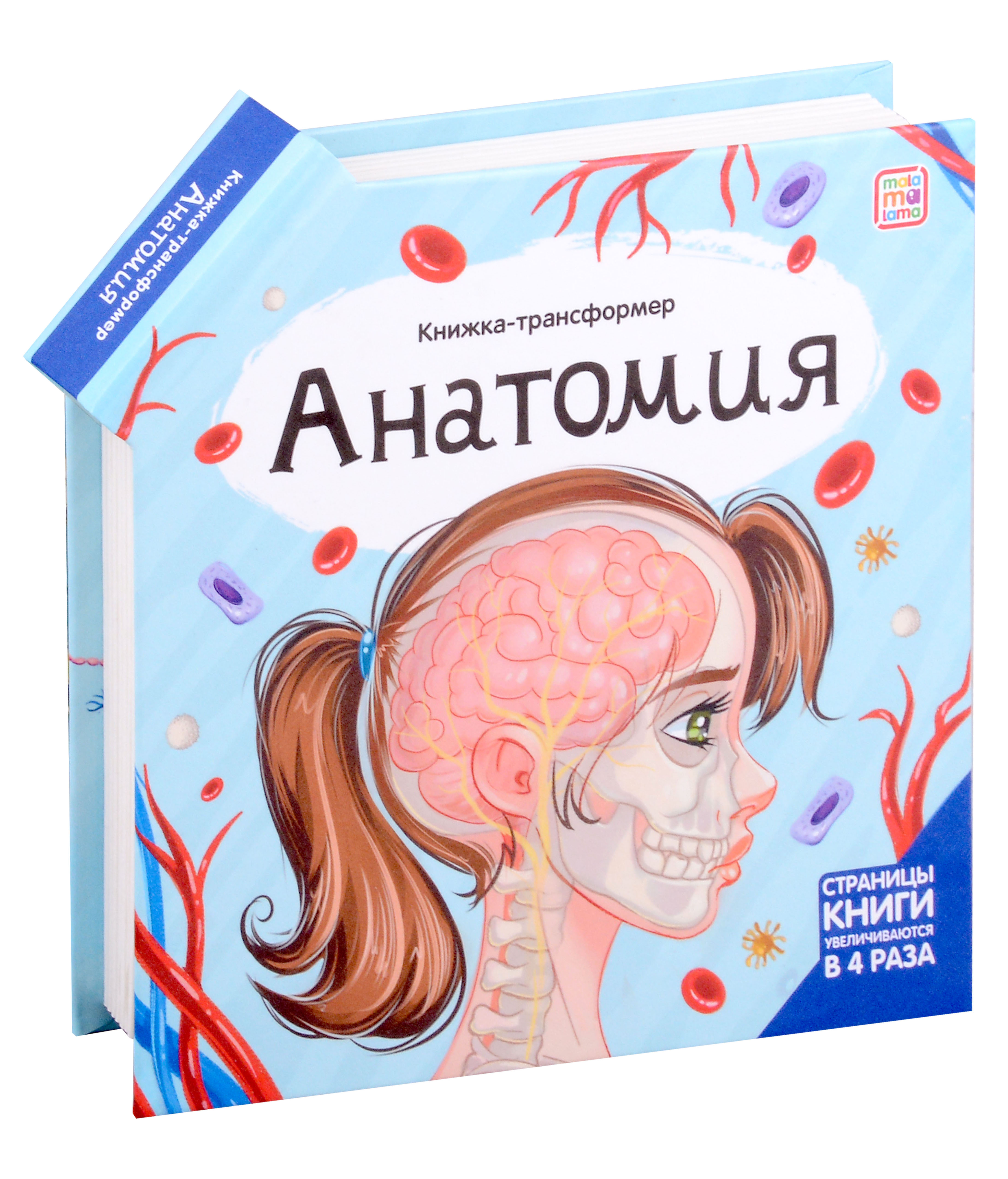 Анатомия : книжка-трансформер
