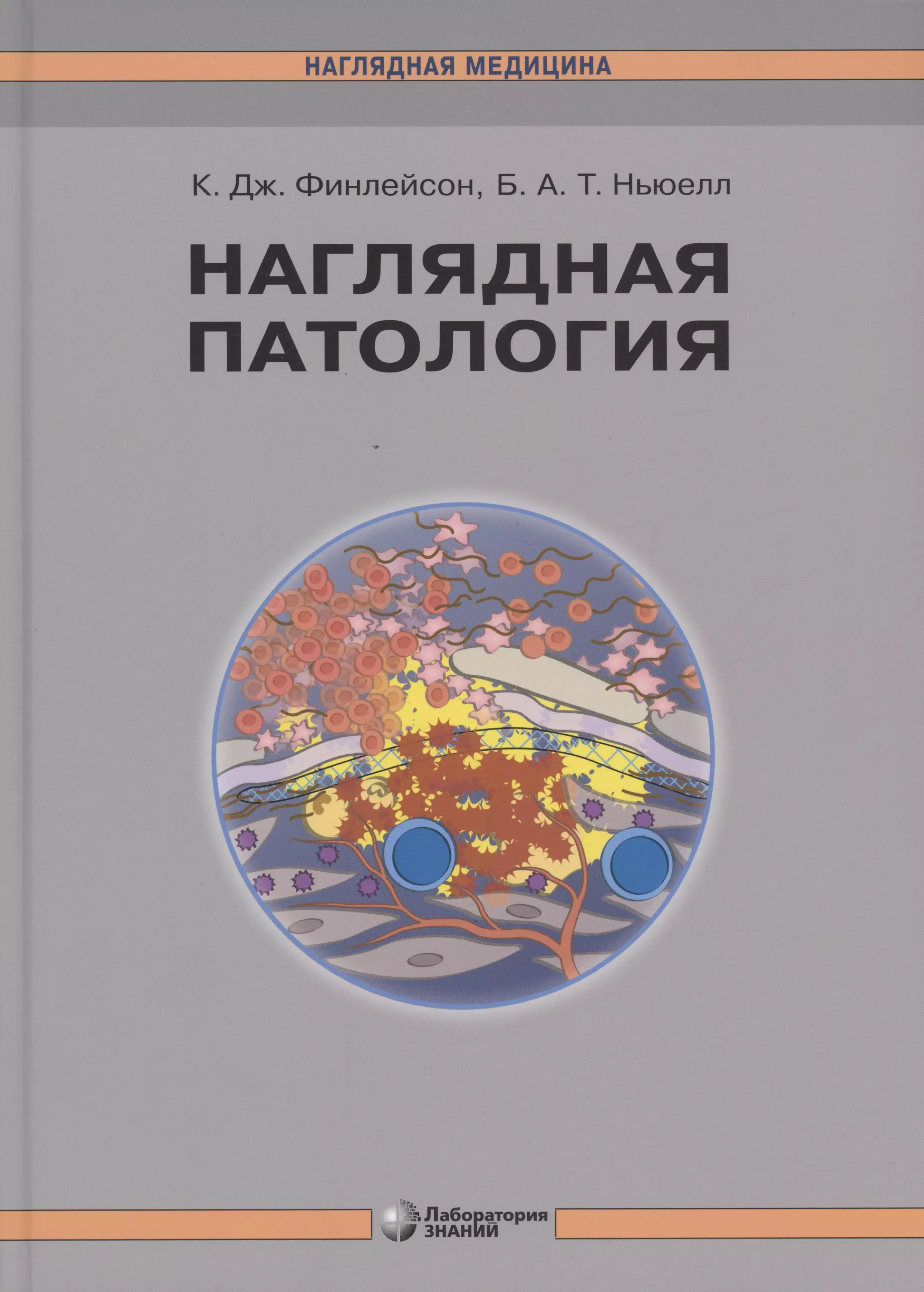 Финлейсон К. Дж. Наглядная патология наглядная фармакология нил м дж