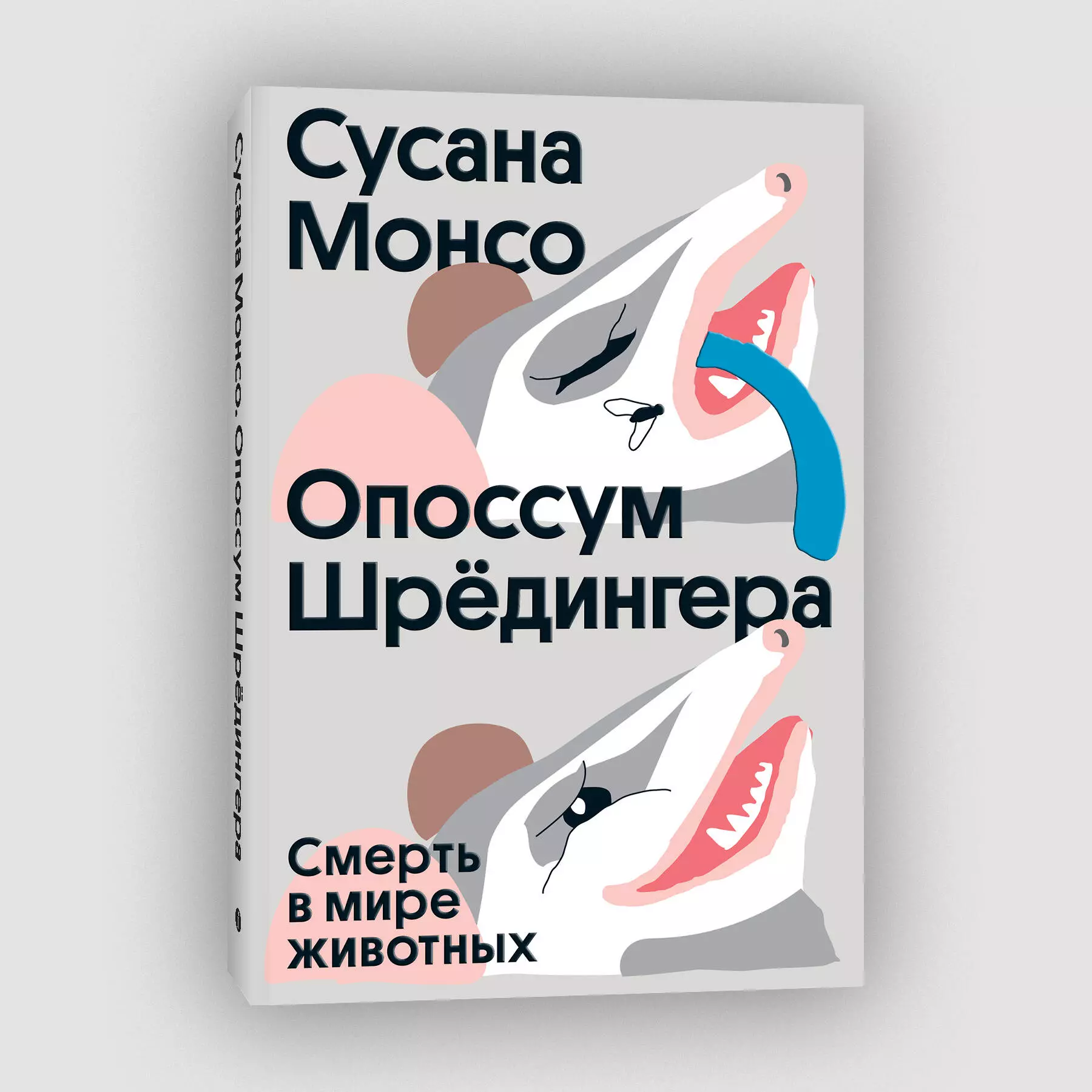 Монсо Сусана Опоссум шредингера