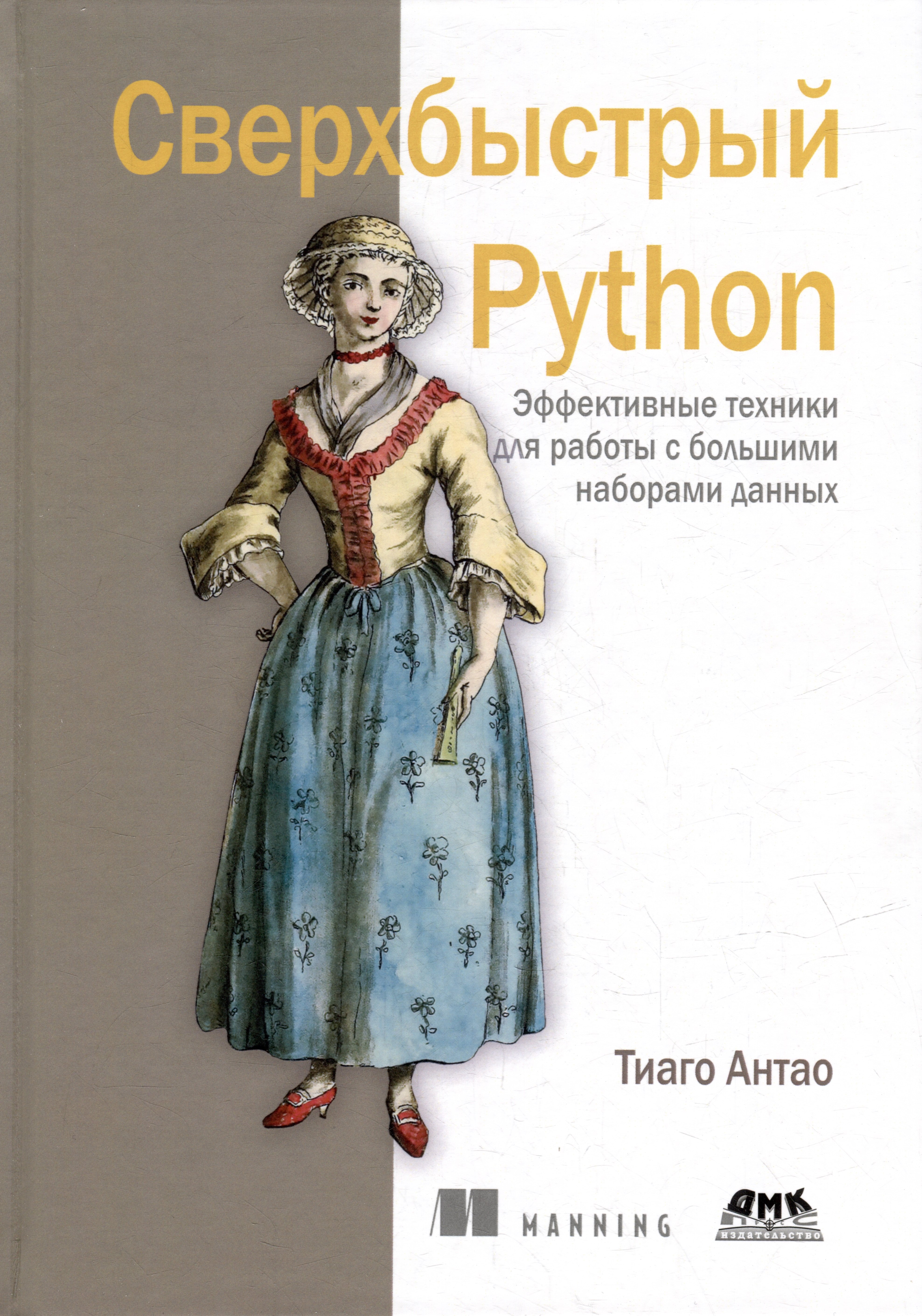 

Сверхбыстрый Python. Эффективные техники для работы с большими наборами данных