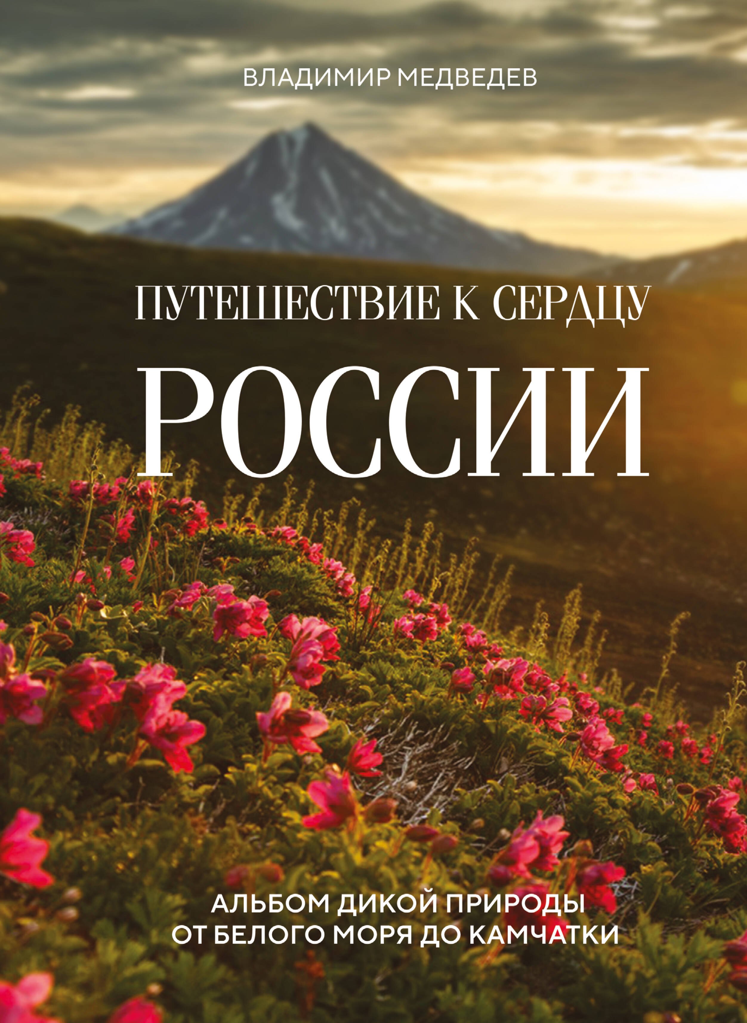 Медведев Владимир Вячеславович Путешествие к сердцу России: альбом дикой природы от Белого моря до Камчатки