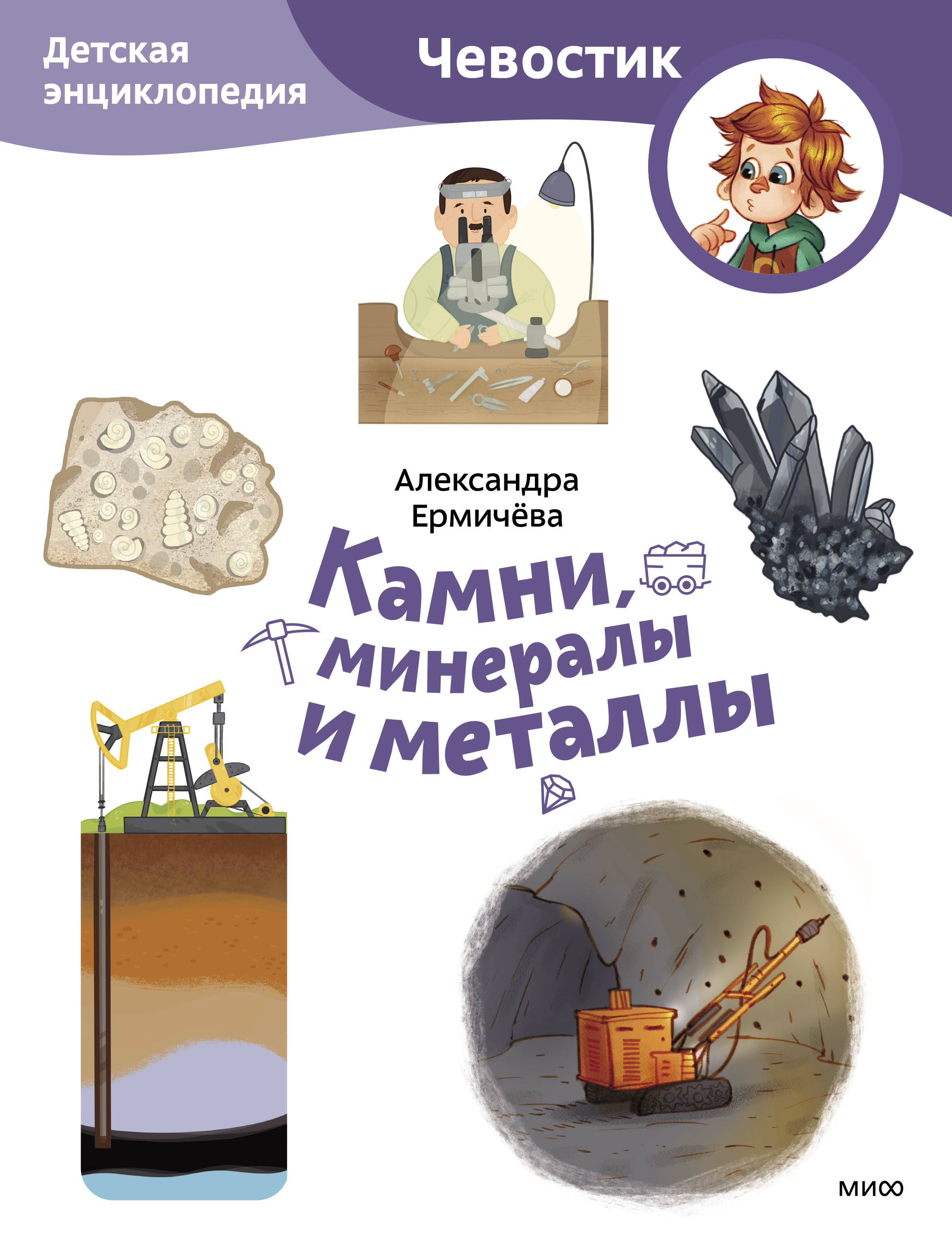 Ермичева Александра Камни, минералы и металлы. Детская энциклопедия