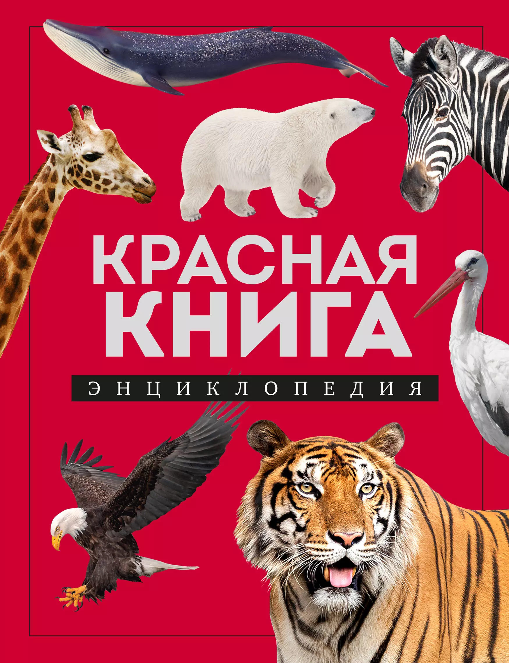 красная книга россии все о жизни дикой природы лукашанец д а лукашанец е м Лукашанец Дмитрий Александрович Красная книга: энциклопедия