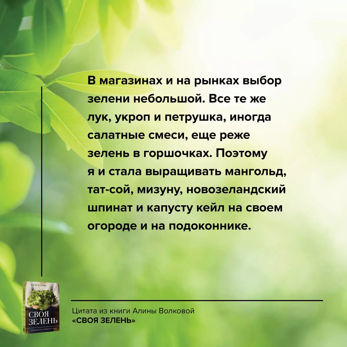 Своя зелень. Выращиваем, ухаживаем и едим - купить книгу с доставкой в  интернет-магазине «Читай-город». ISBN: 978-5-17-157289-1