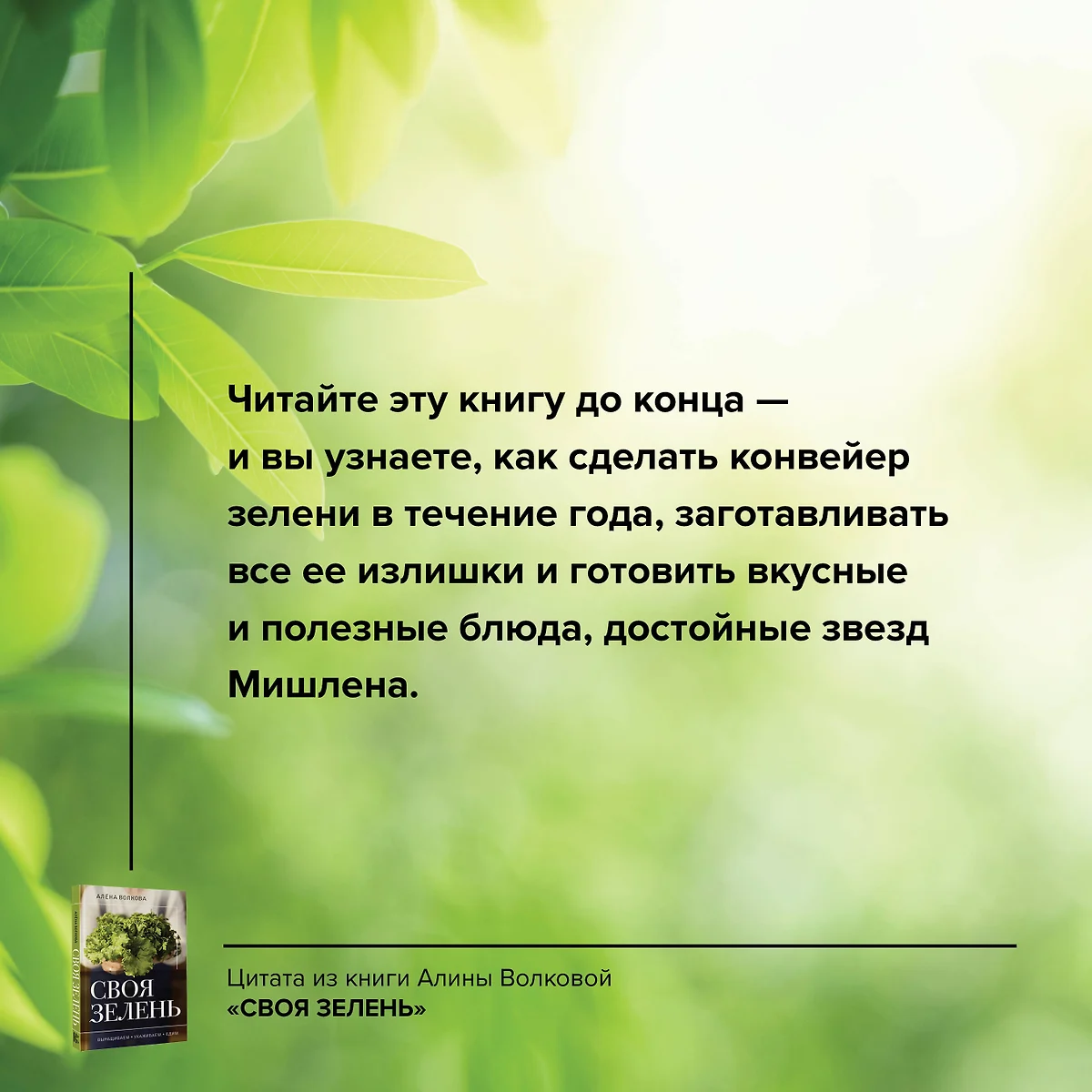 Своя зелень. Выращиваем, ухаживаем и едим - купить книгу с доставкой в  интернет-магазине «Читай-город». ISBN: 978-5-17-157289-1