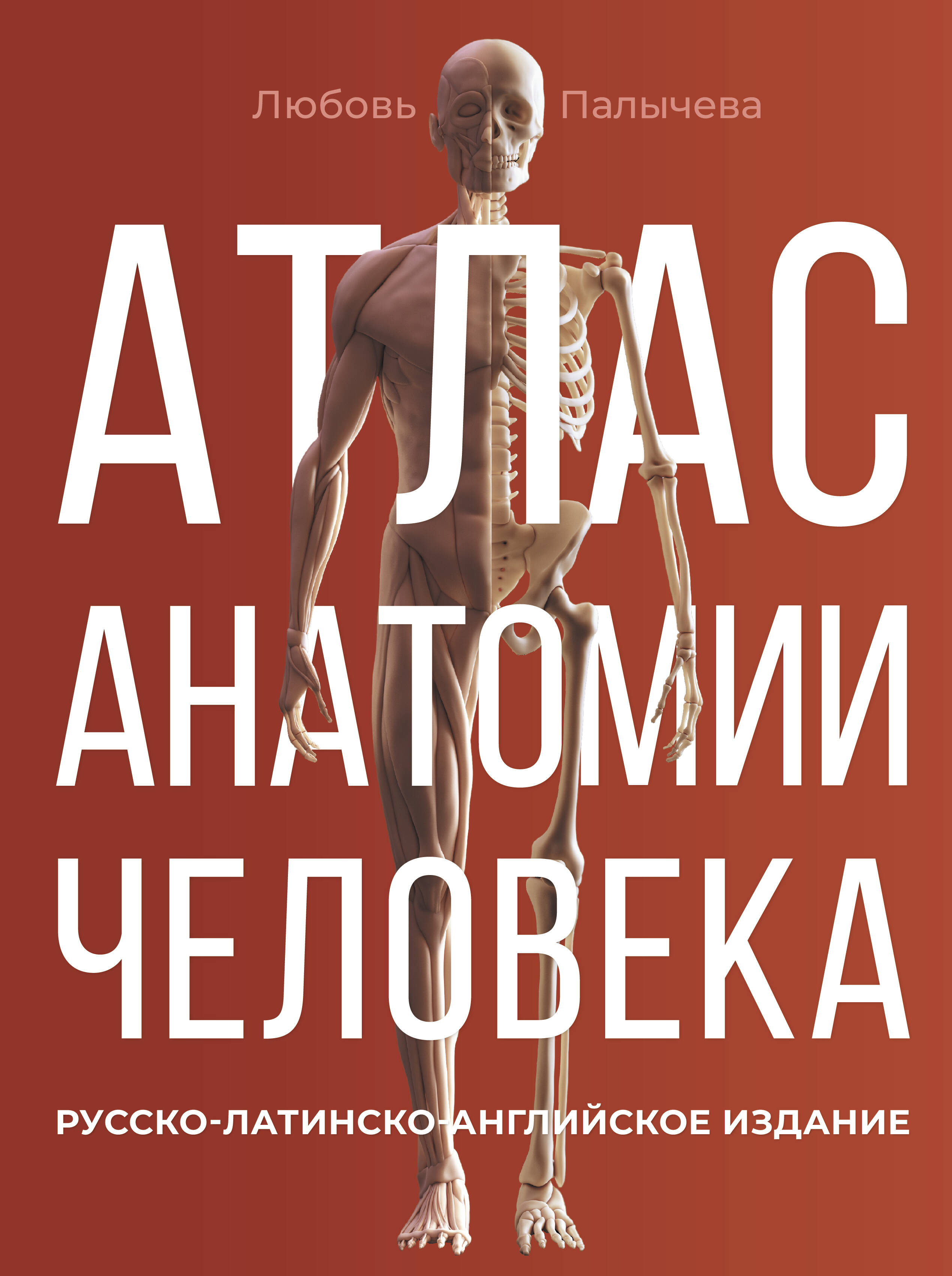 Палычева Любовь Николаевна - Атлас анатомии человека. Русско-латинско-английское издание