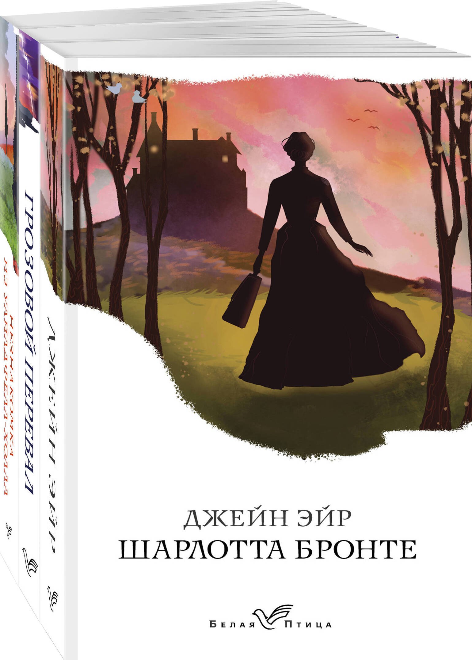 

Сестры Бронте: Джейн Эйр. Грозовой перевал. Незнакомка из Уайлдфелл-Холла (комплект из 3 книг)