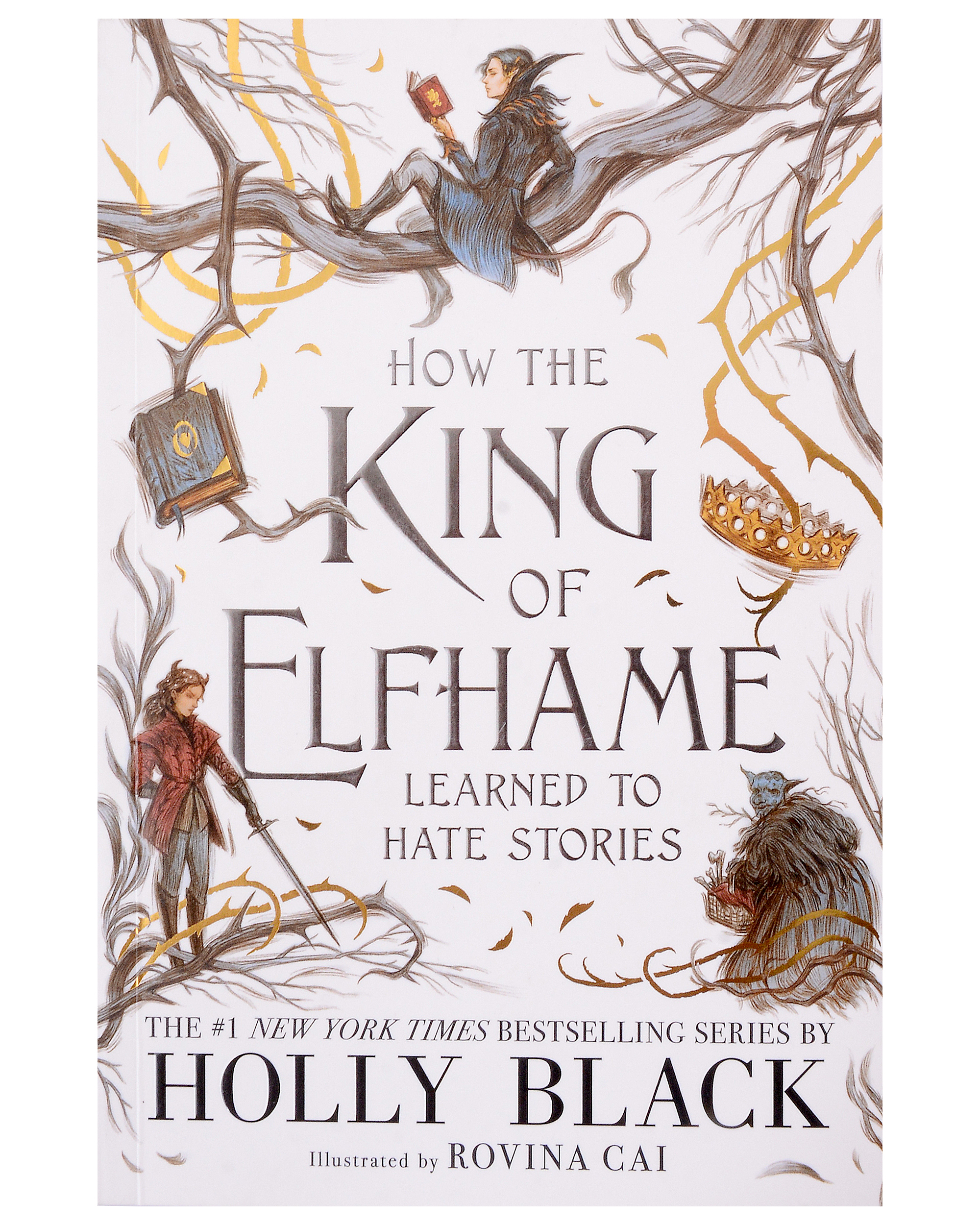 цена Black Holly How the King of Elfhame Learned to Hate Stories
