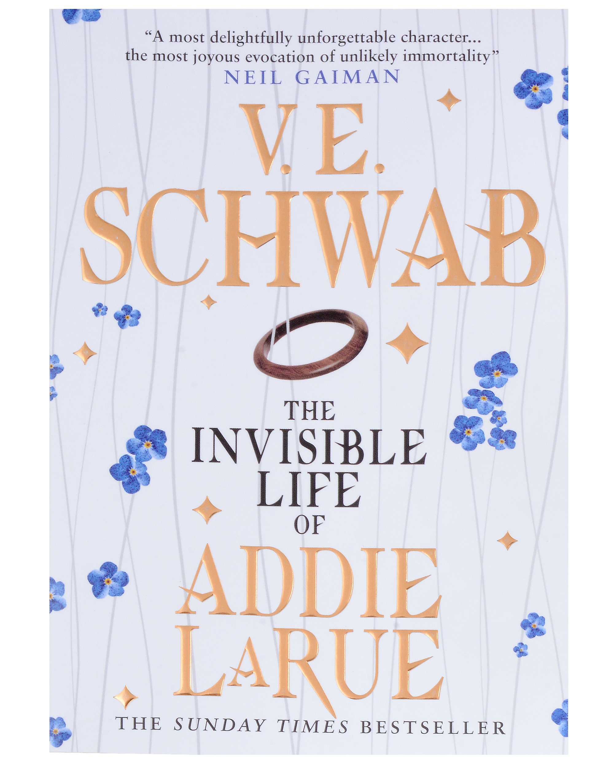Schwab Victoria Elizabeth The Invisible Life of Addie Larue schwab victoria elizabeth the dark vault
