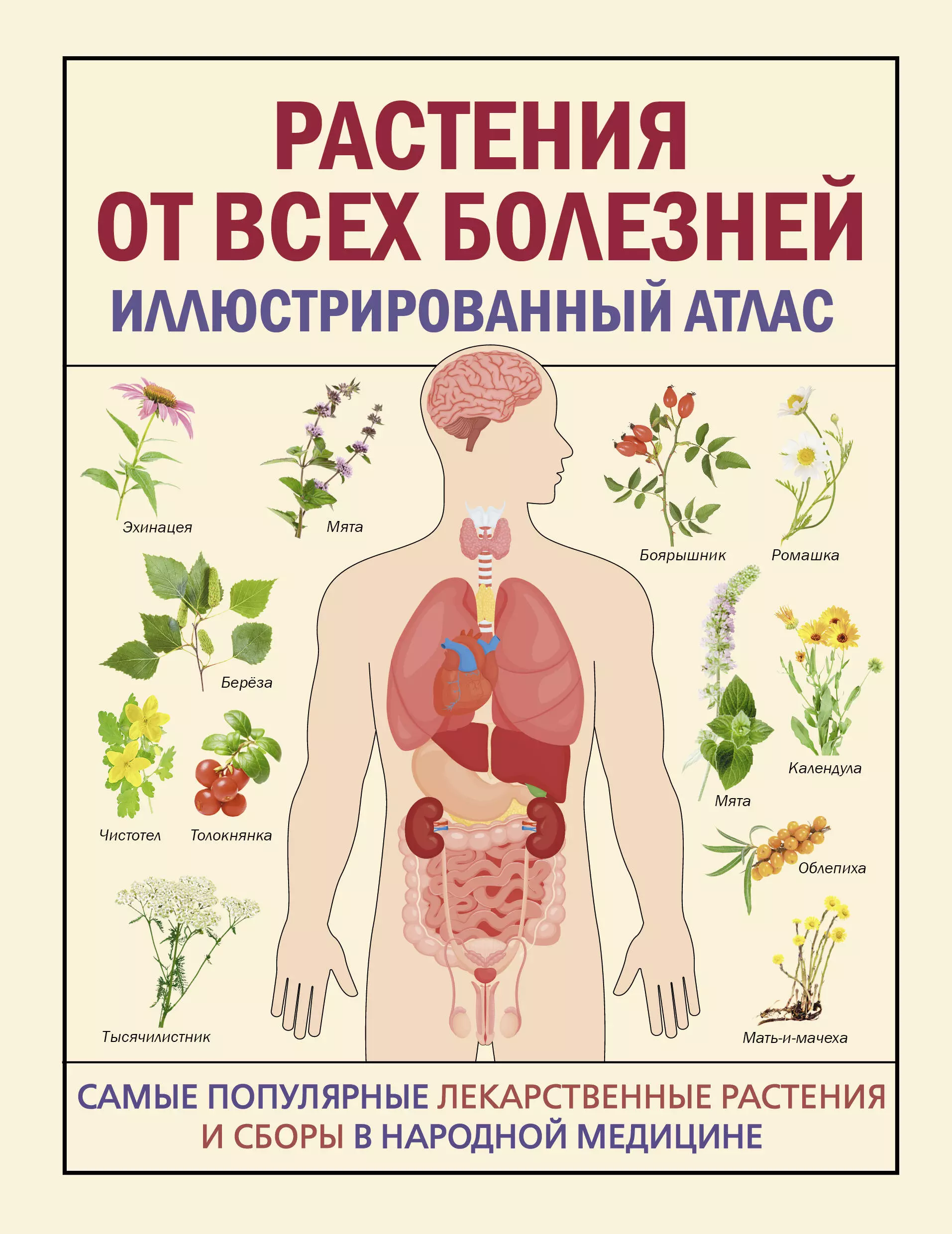 None Растения от всех болезней. Иллюстрированный атлас