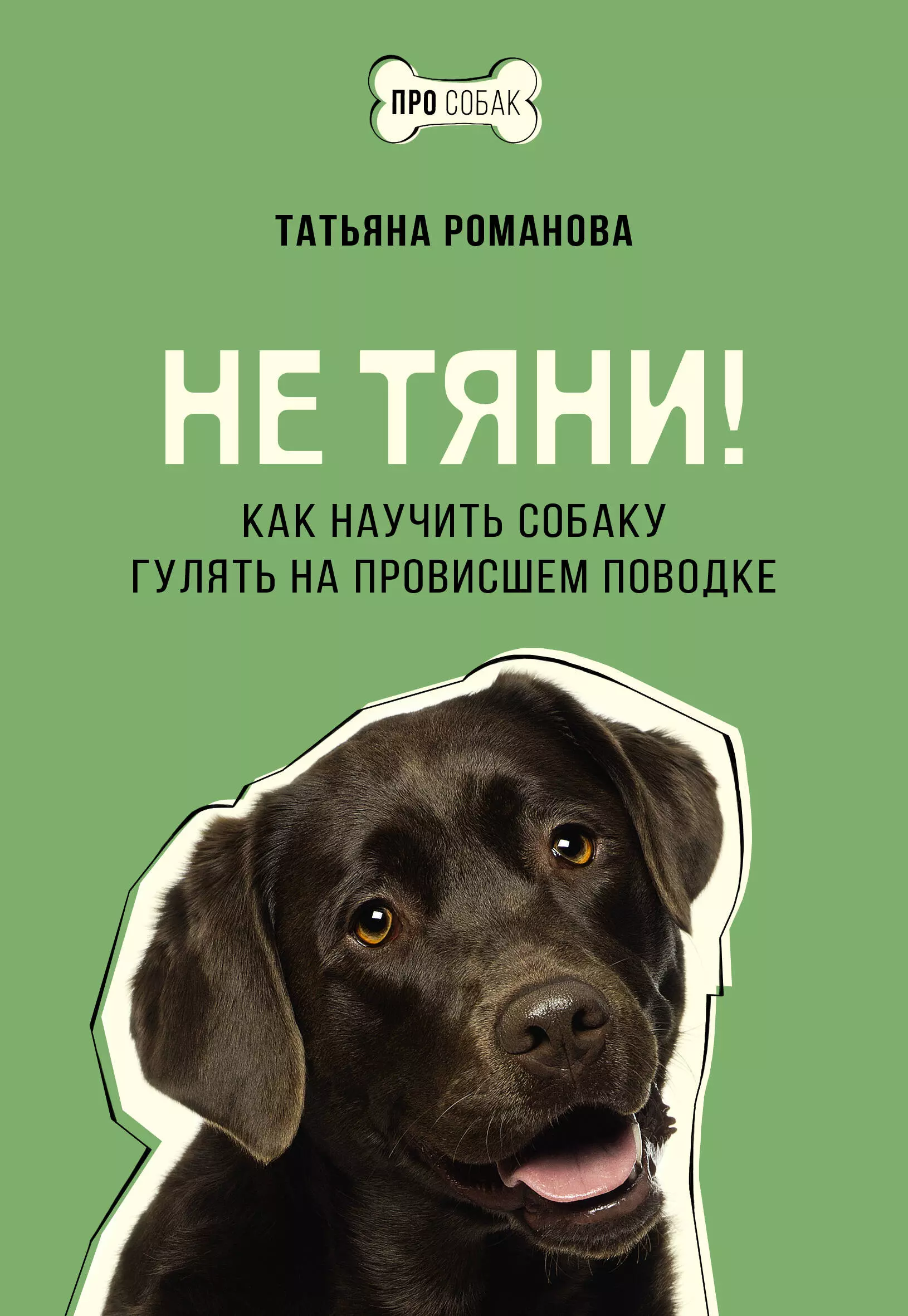 Романова Татьяна Владиславовна Не тяни! Как научить собаку гулять на провисшем поводке