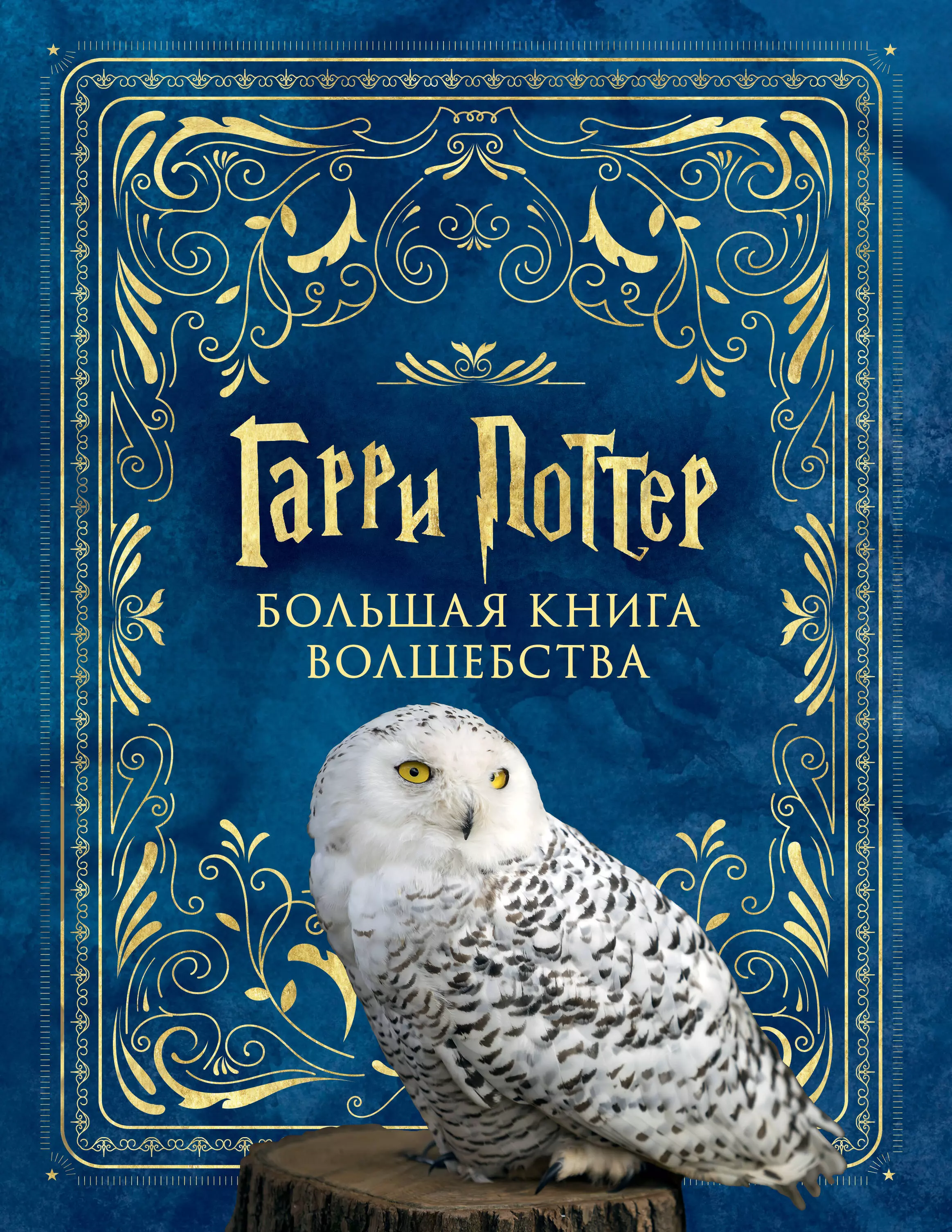 Гарри Поттер. Большая книга волшебства гарри поттер история волшебства