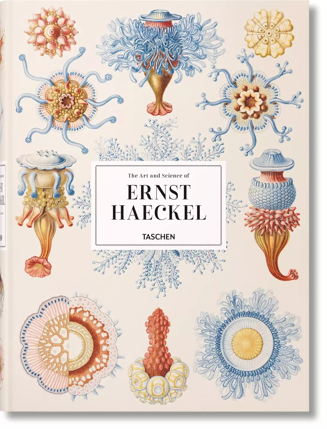 

The Art and Science of Ernst Haeckel